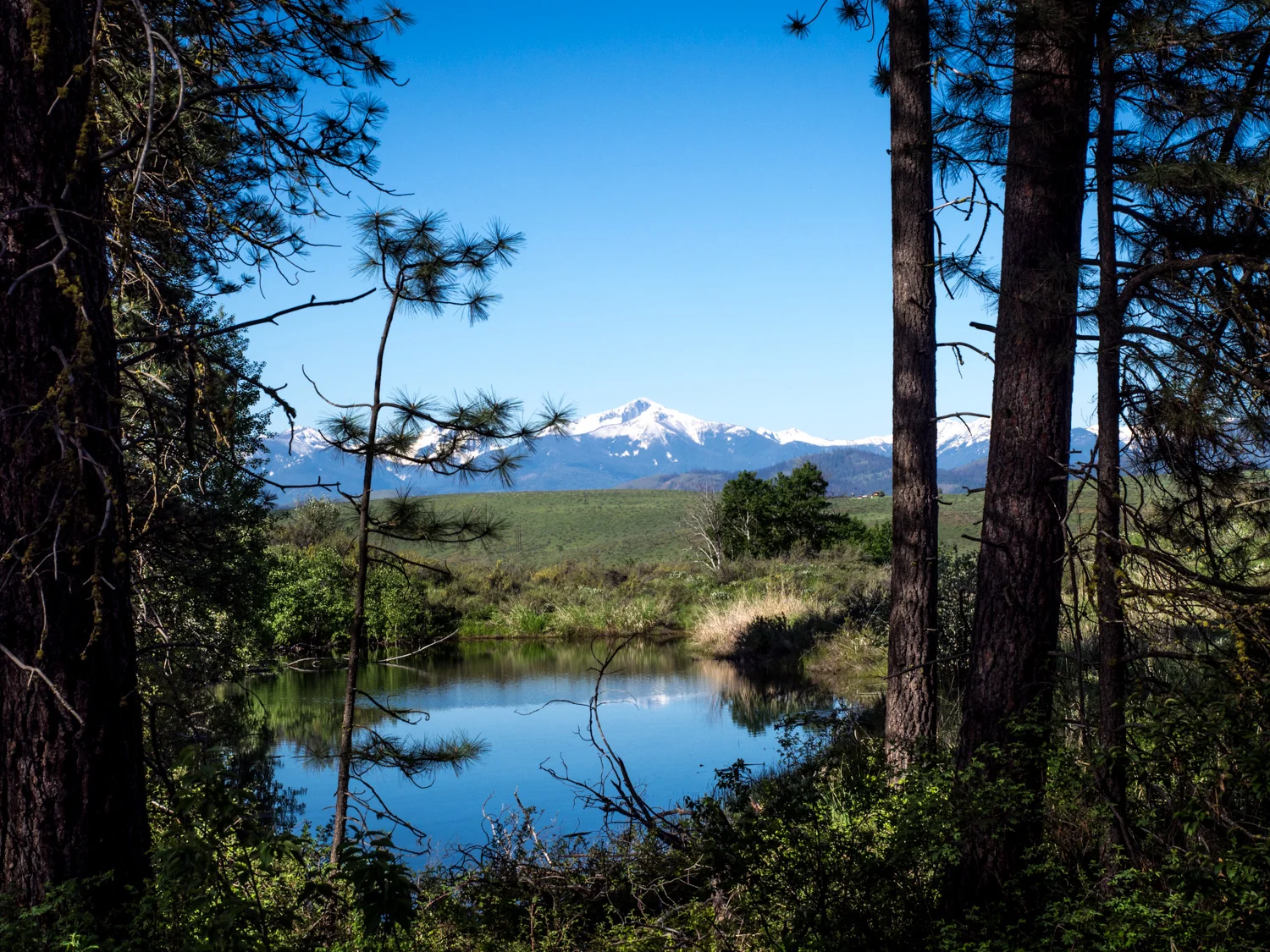 P5232790.JPG