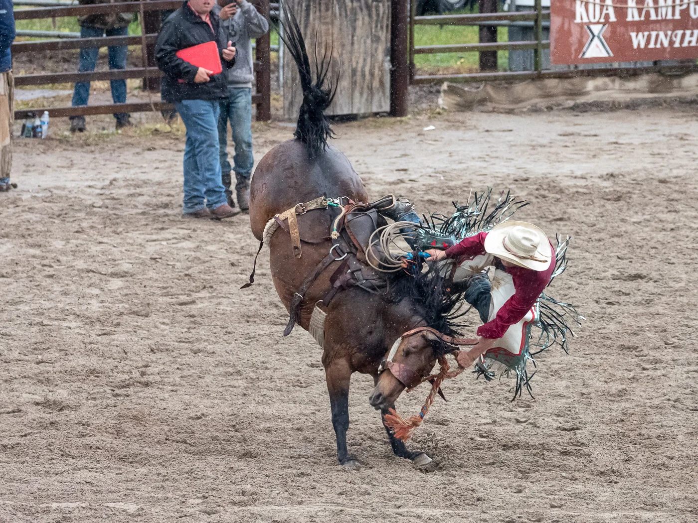 P5253033-2.jpg