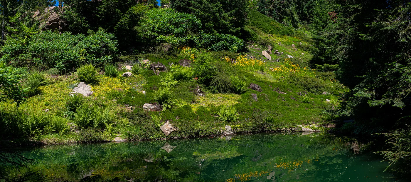 P6110766-Pano-1.jpg