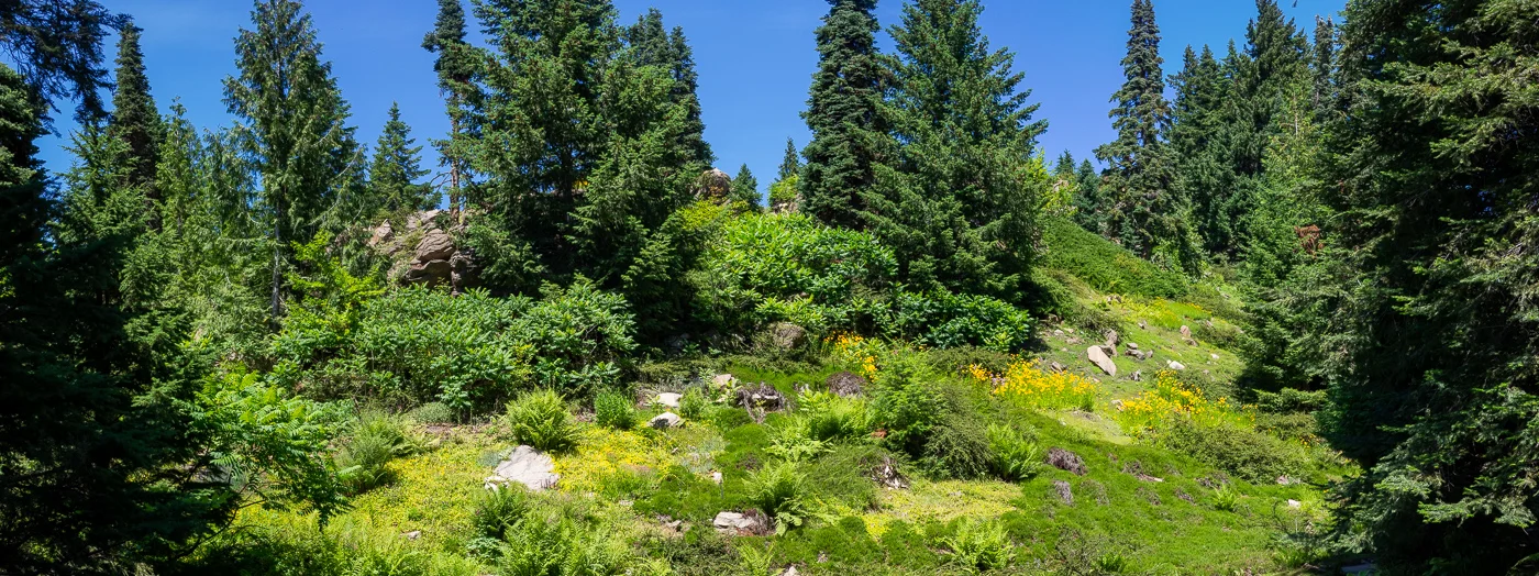 P6110766-Pano-2-1.jpg