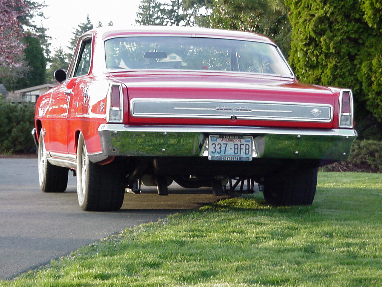 nova rear.jpg