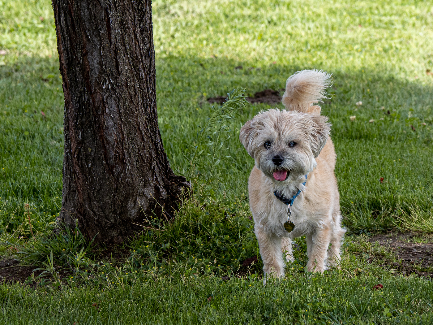 P7157819-2.jpg