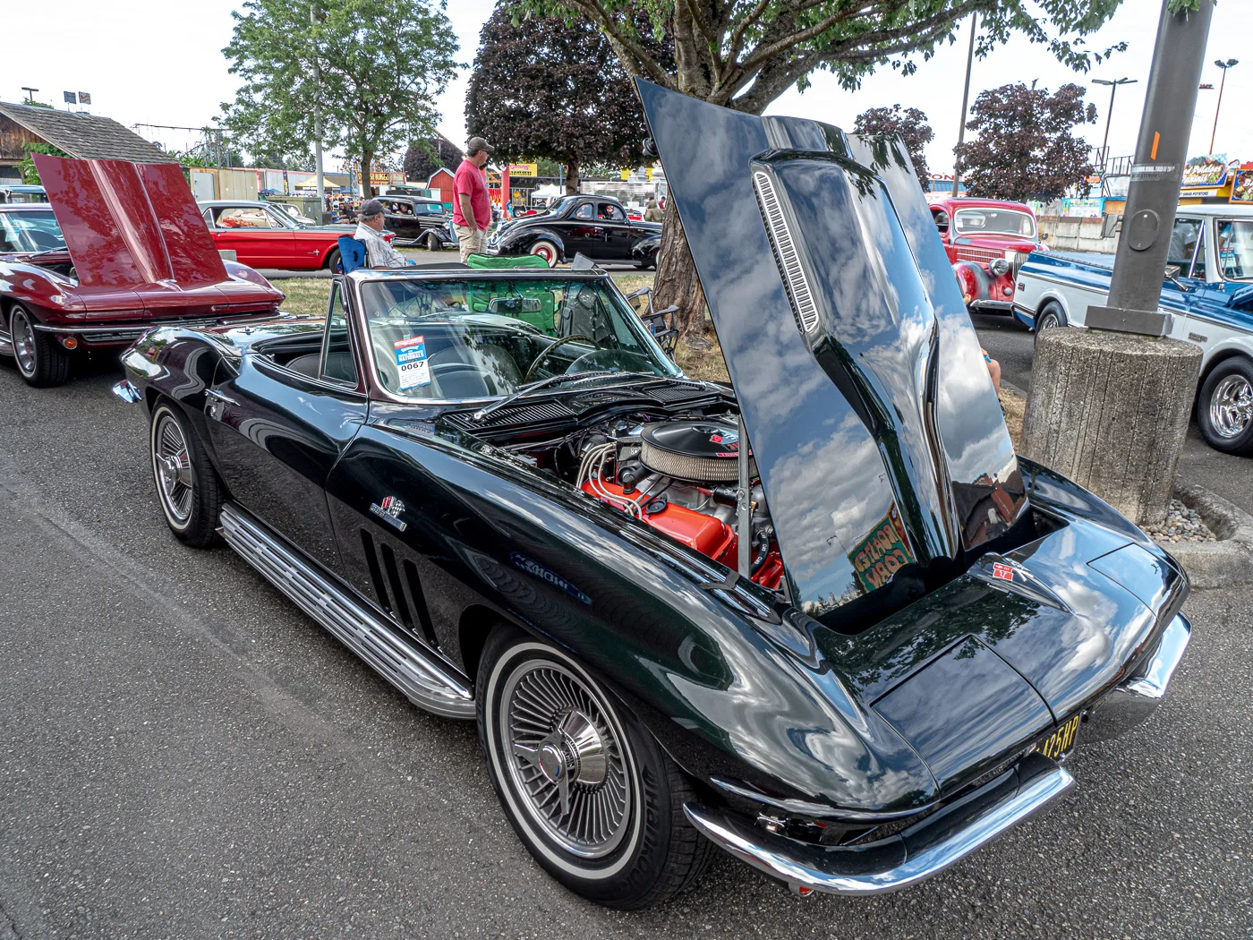 P7270670-1.jpg