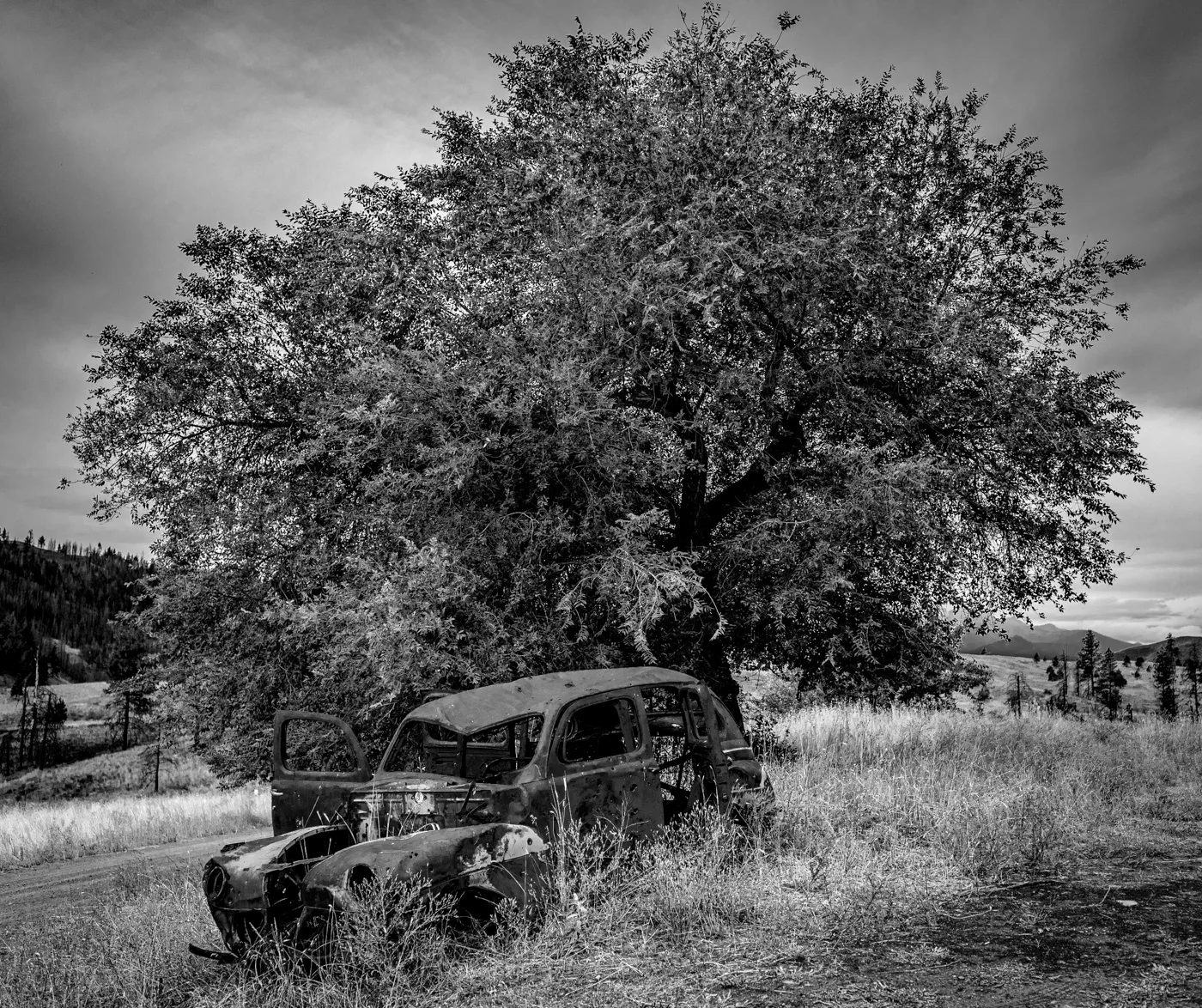 P8212247-2.jpg