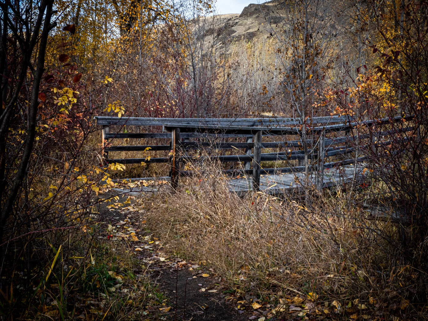 PA283550.JPG