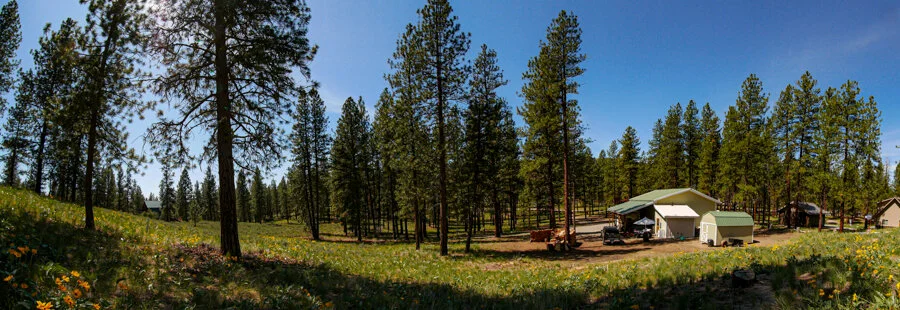 P1060193-2.JPG