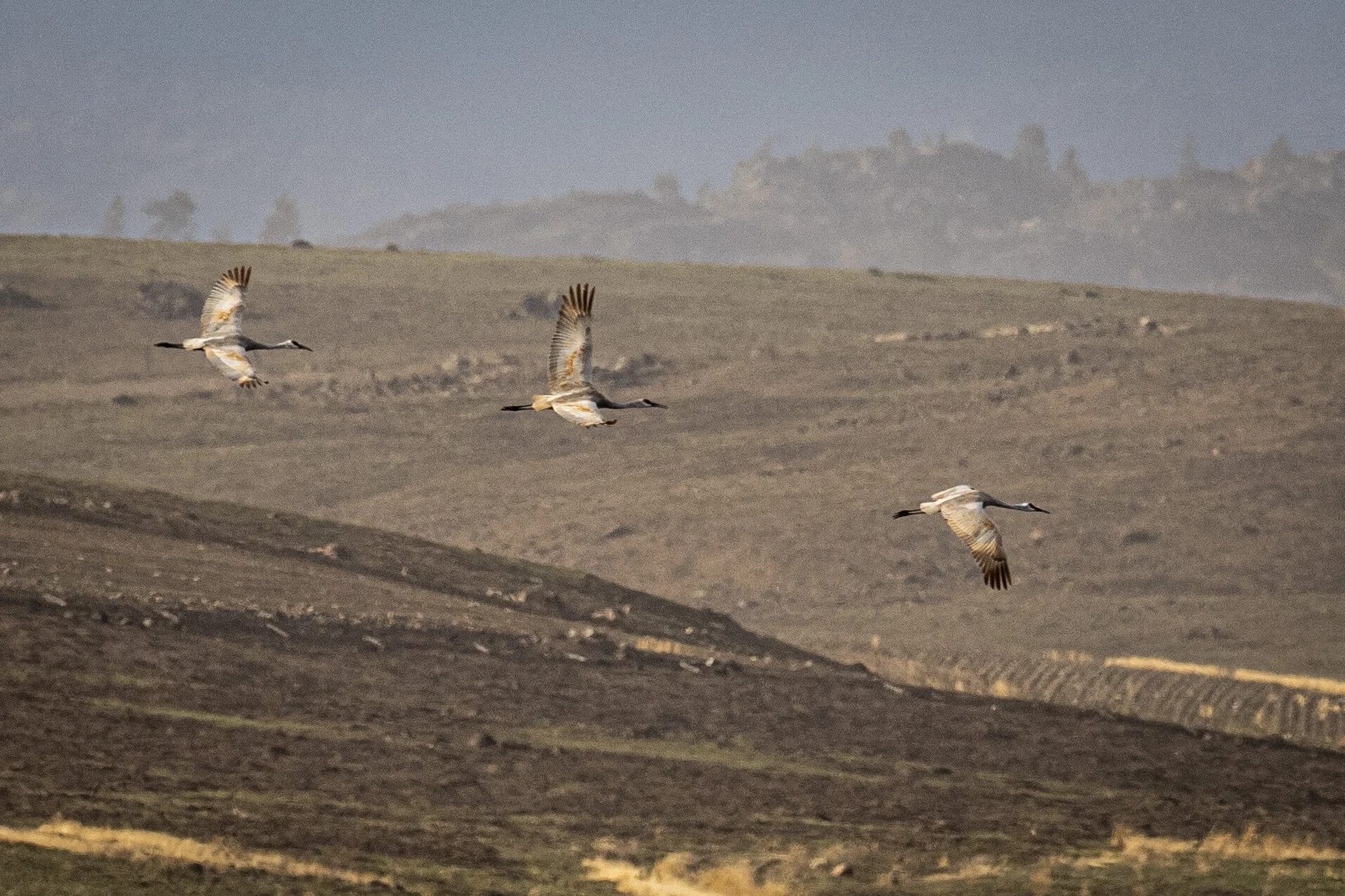 PA190300.JPG
