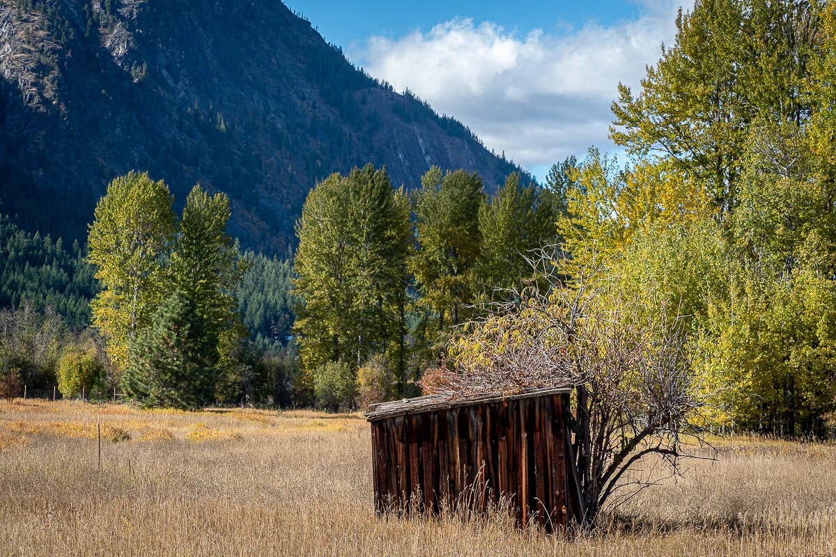PA206387.JPG