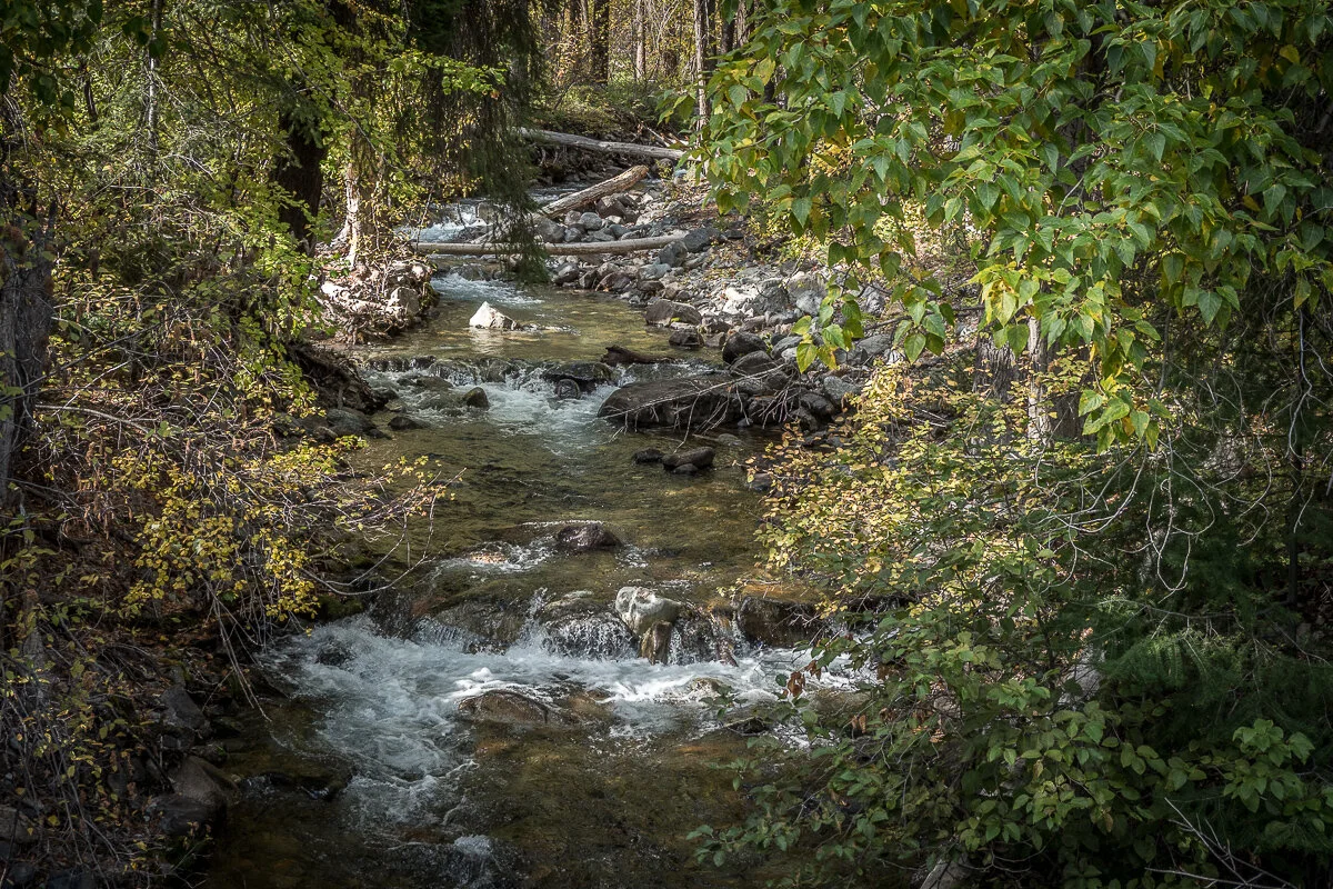 PA206452.JPG