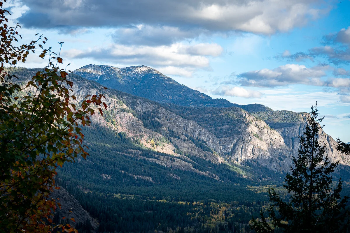 PA206577.JPG
