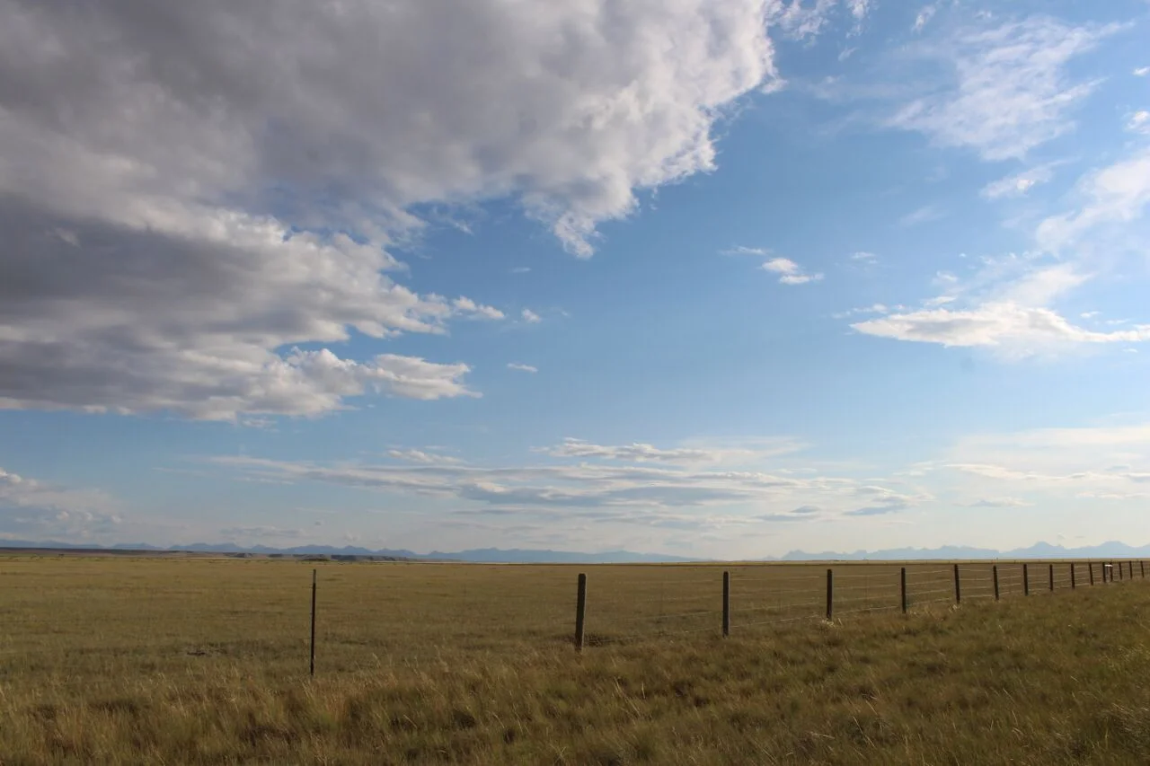 2015-07-14 21.42.31_preview.jpeg