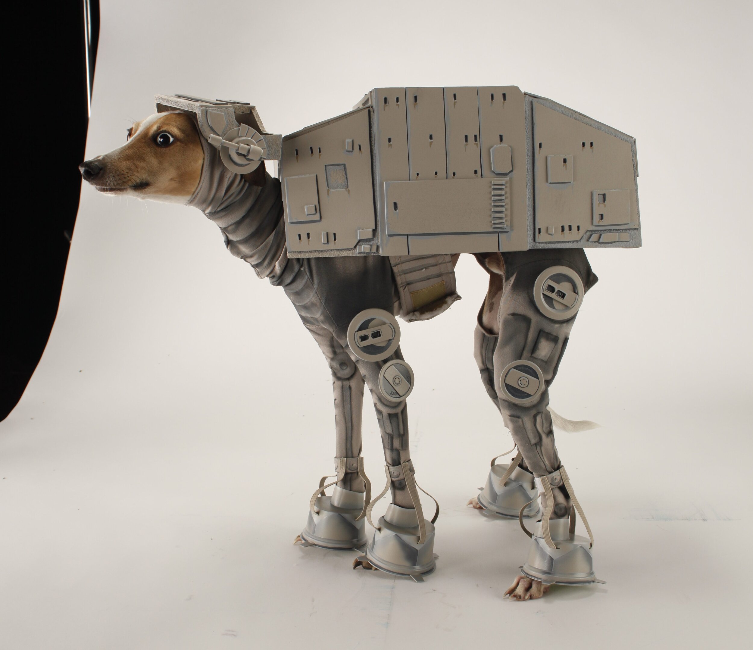 AT-ATBones1.jpg