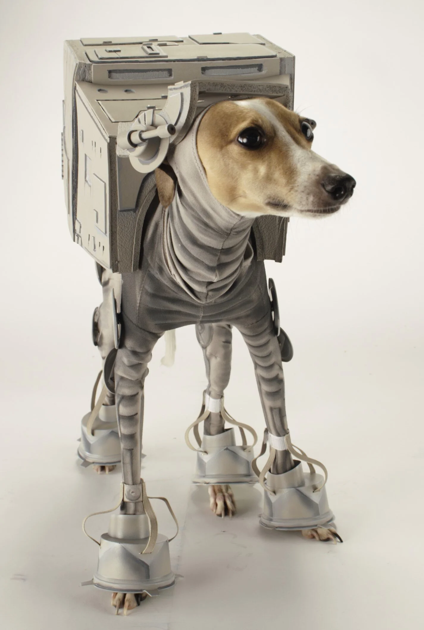 AT-ATBones2.jpg
