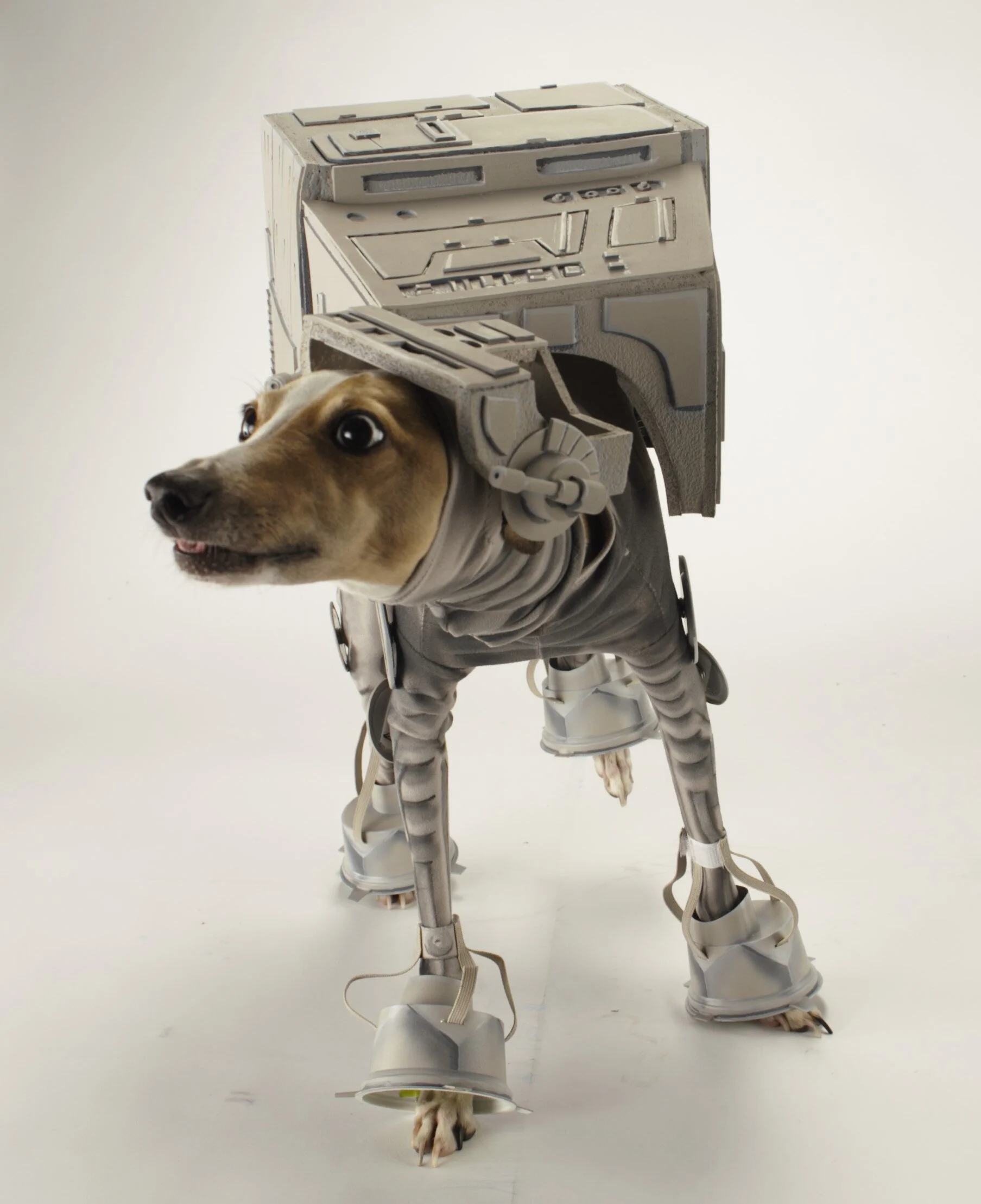 AT-ATBones4.jpg