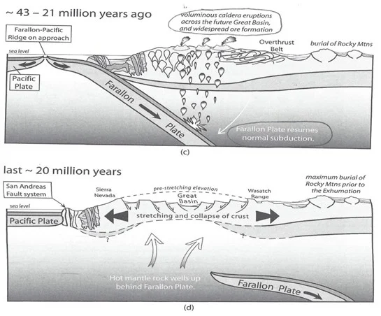 The third and fourth phases (from Meldahl)