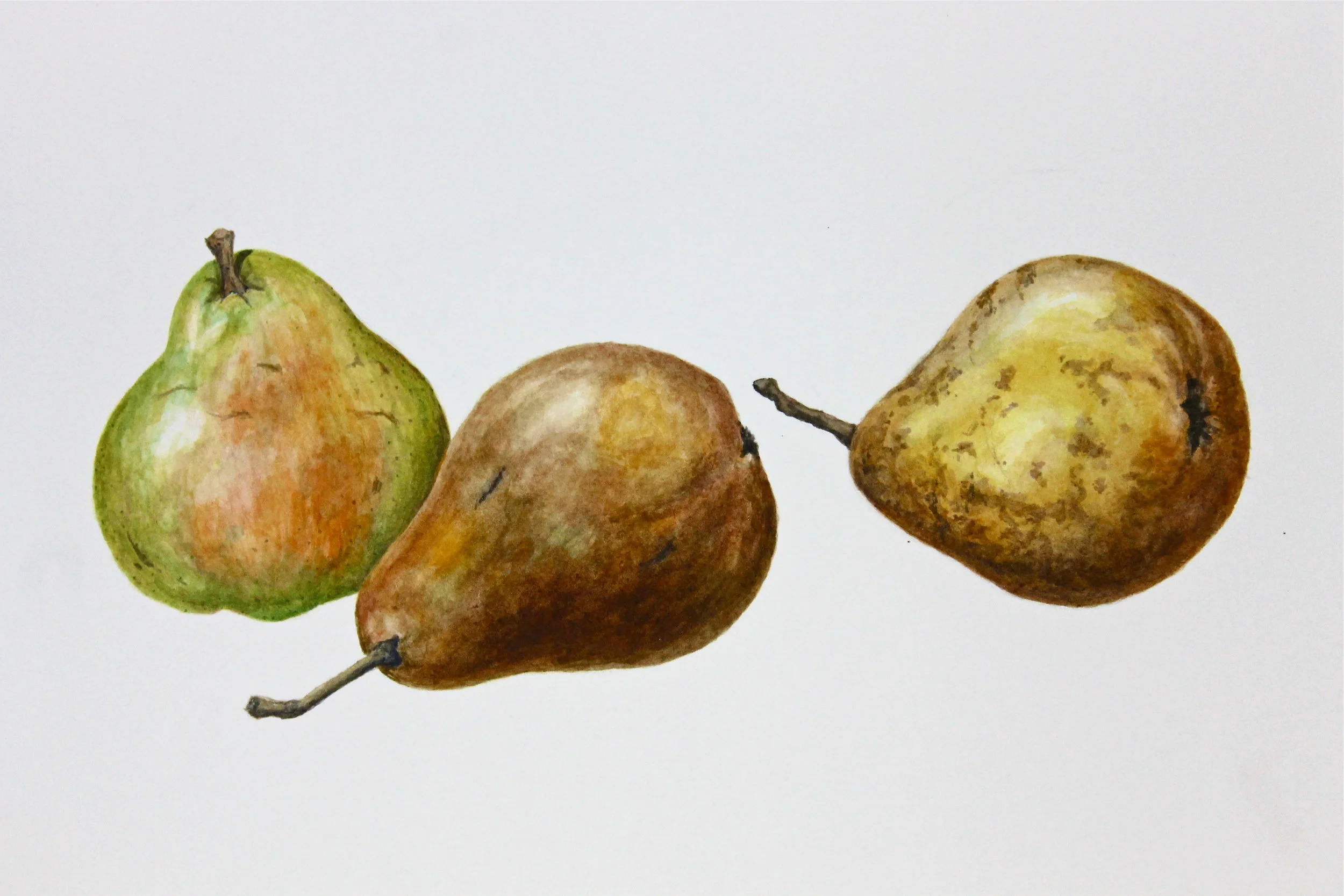 A Skills Building Program for Parents with Adolescents