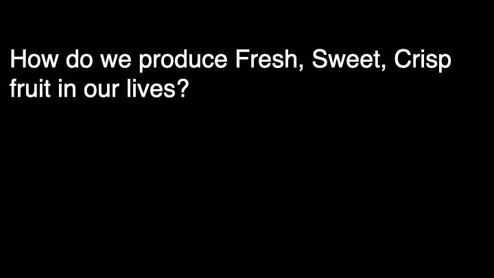 #1 Who's Eating your fruit 23.058.png