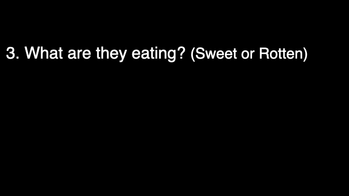 #2 Who's Eating your fruit (part 2).013.png