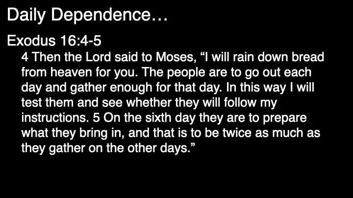 November 3rd 2024.008.jpeg