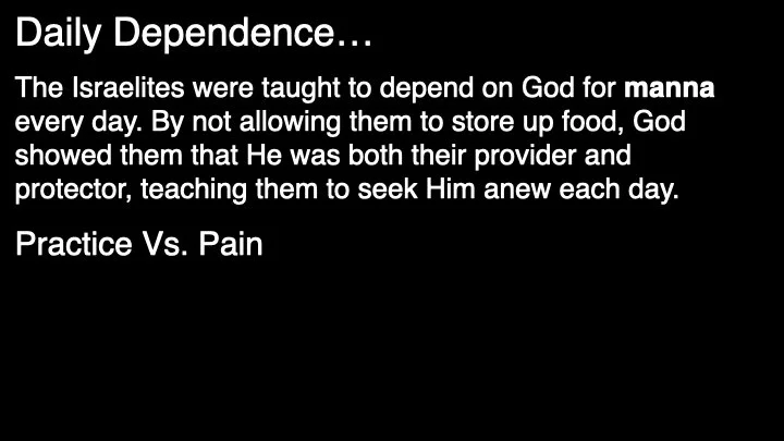 November 3rd 2024.009.jpeg