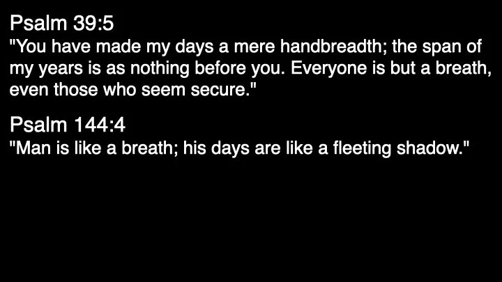 November 3rd 2024.045.jpeg