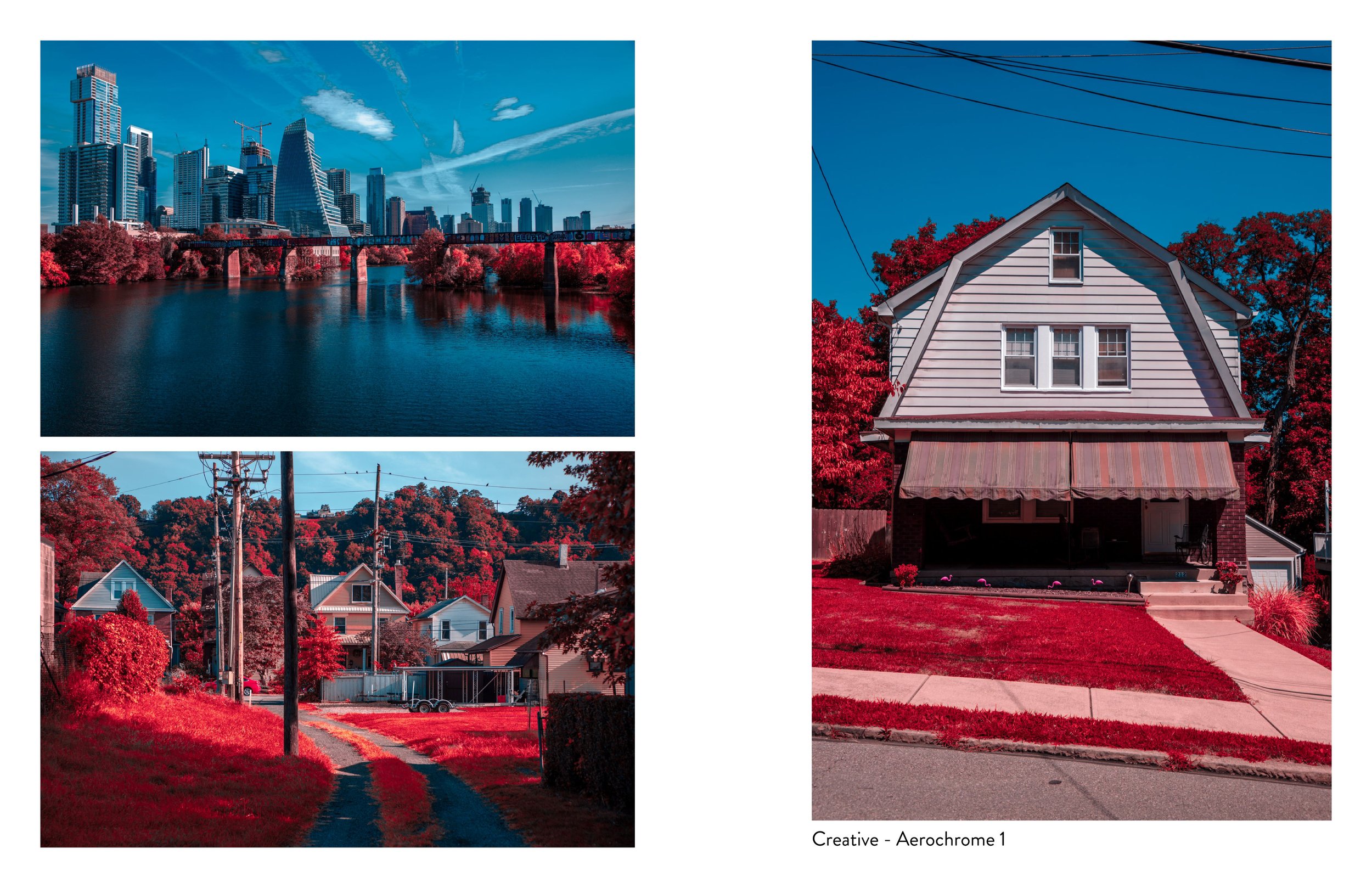 Etsy_Creative - Aerochrome_reduced.jpg