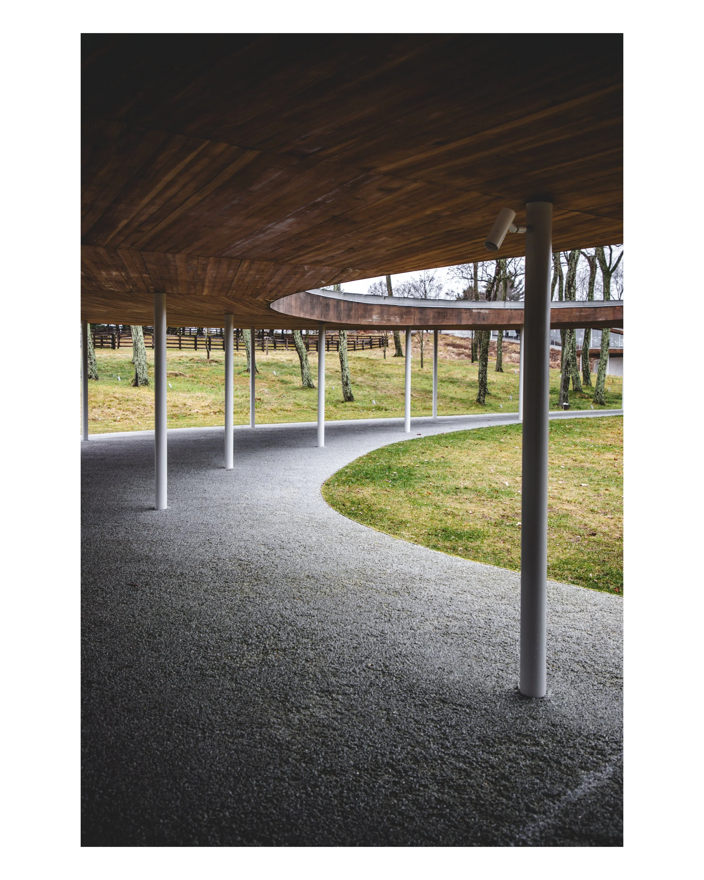 5_8x10 V_2023-32.jpg