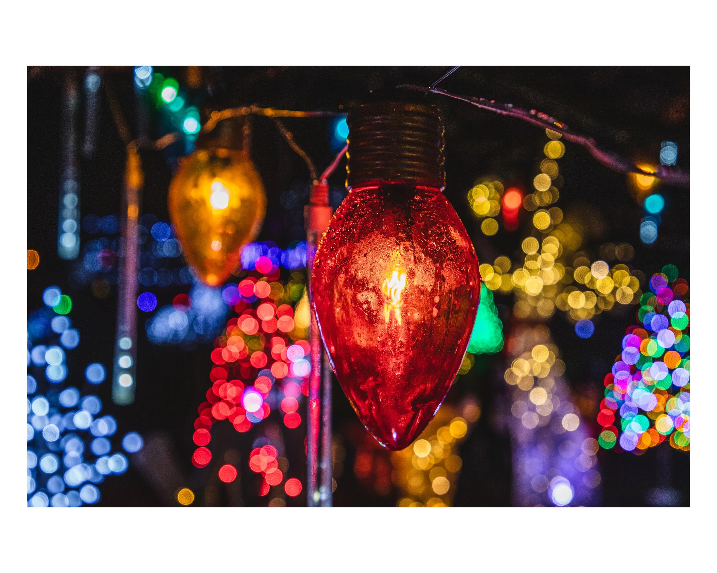 5_8x10 H_2023-85.jpg