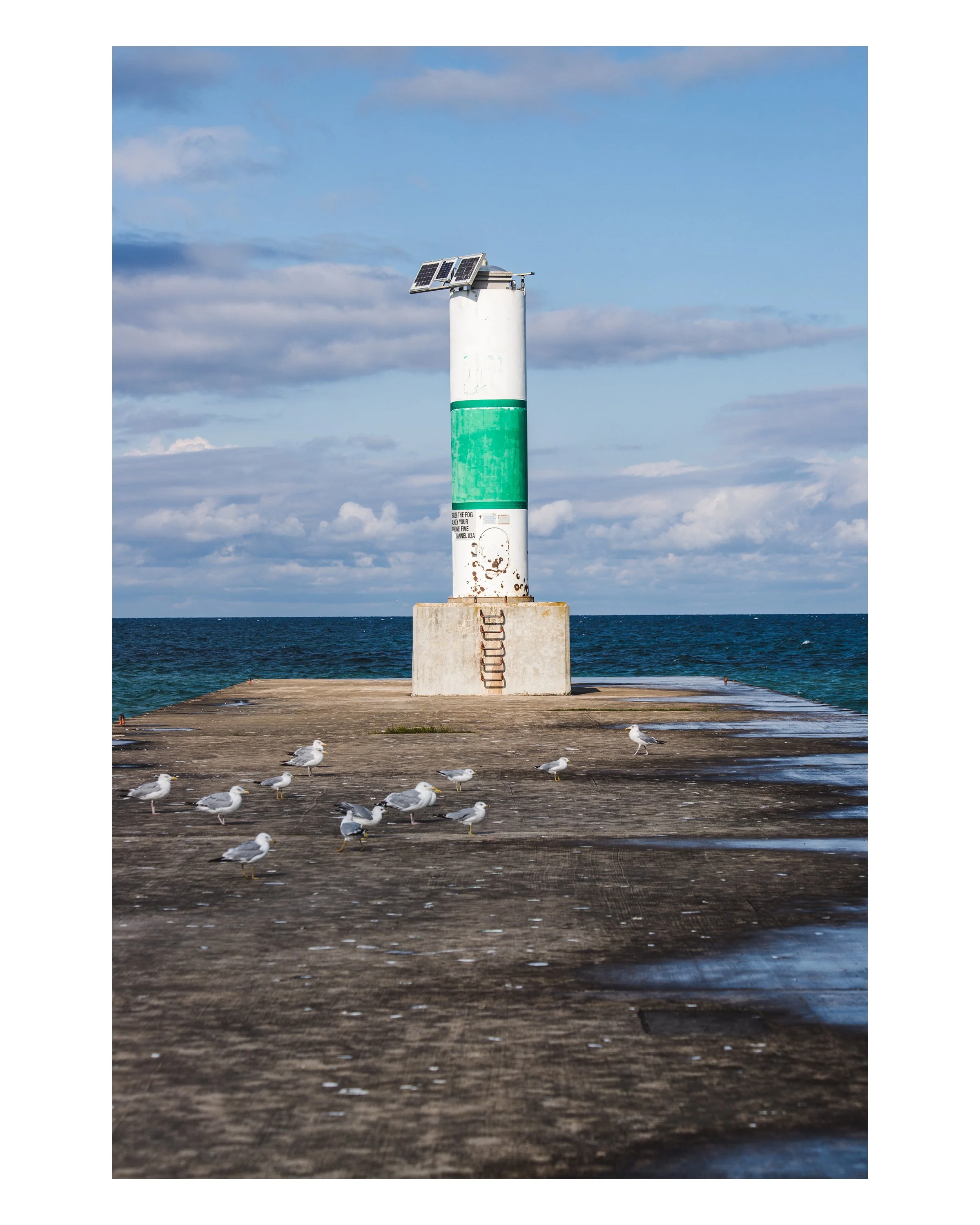 5_8x10 V_2025-166.jpg