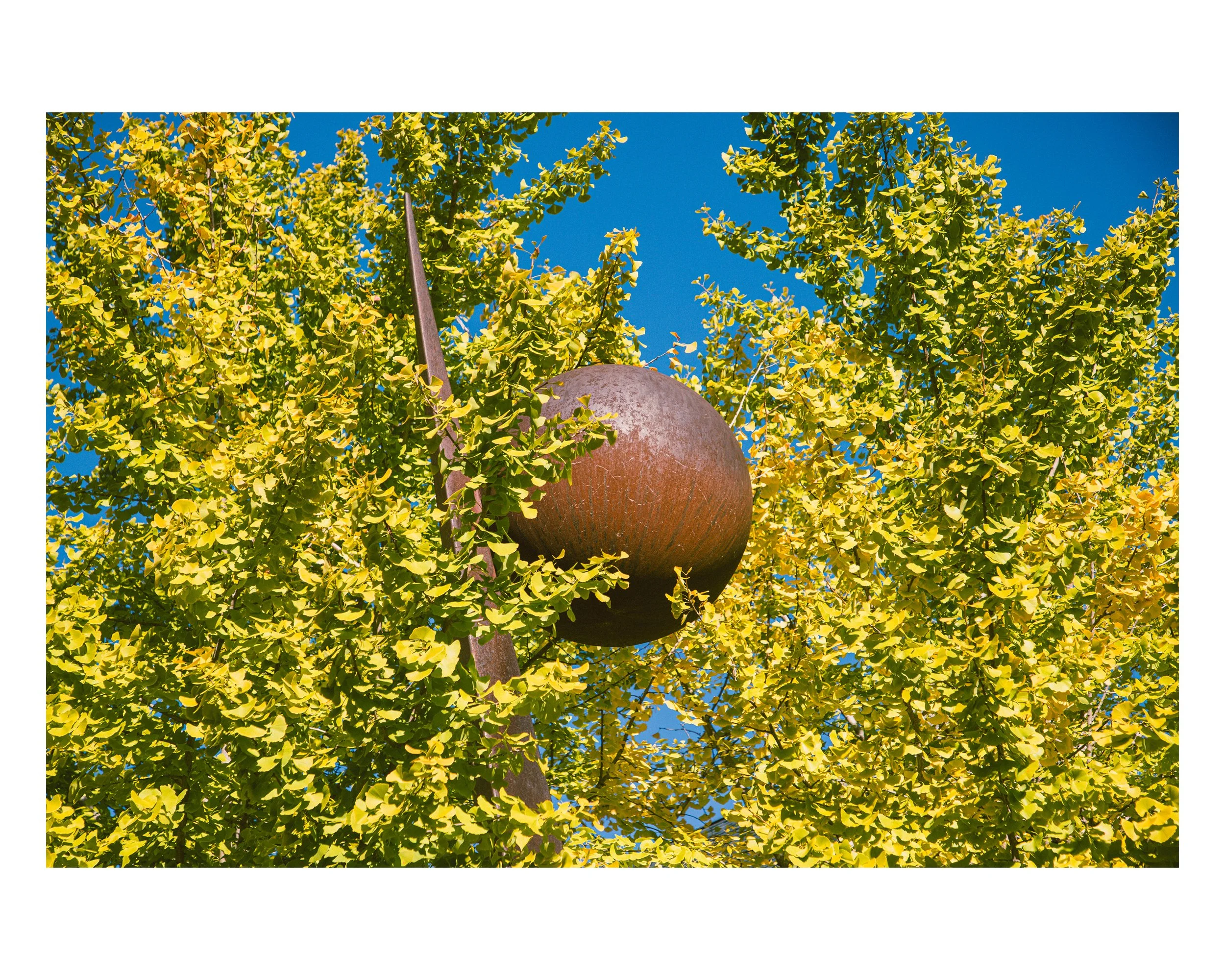 5_8x10 H_2024-599.jpg