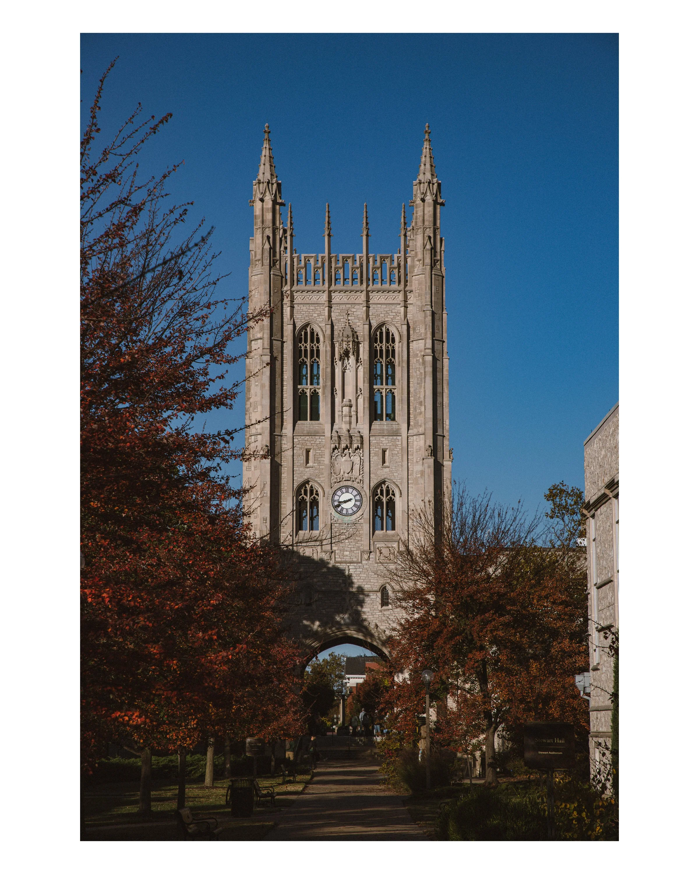 5_8x10 V_2024-203.jpg