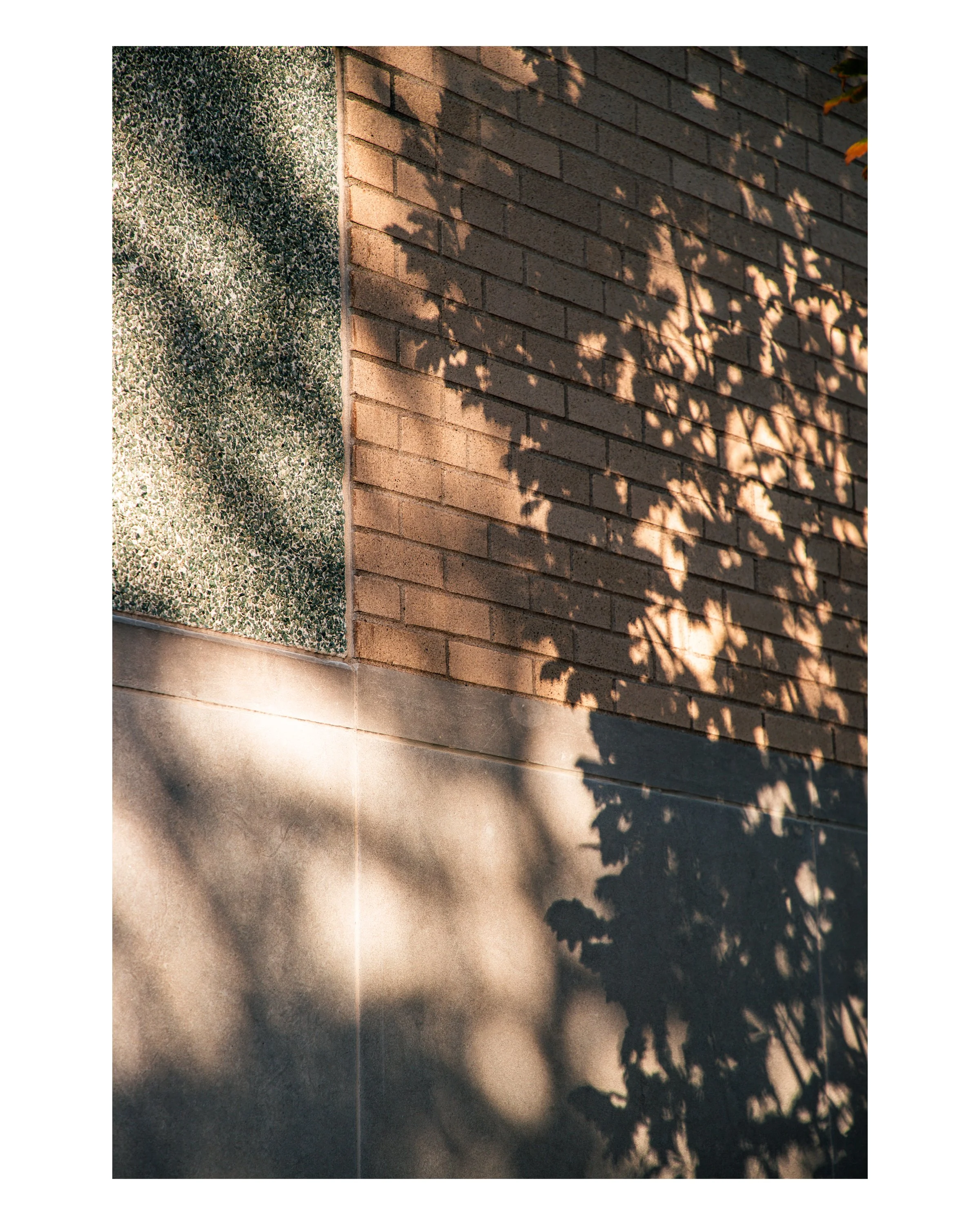 5_8x10 V_2024-205.jpg