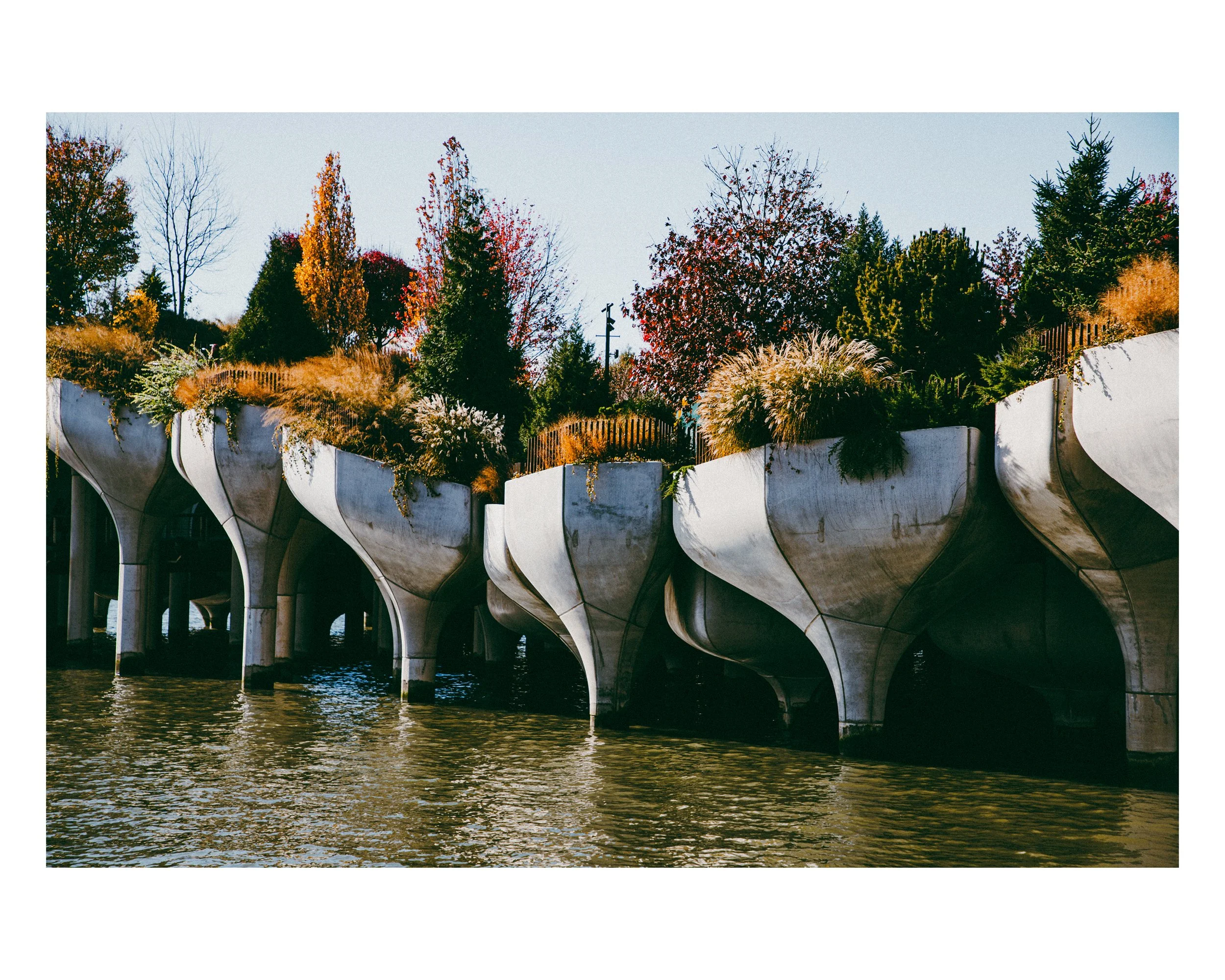 5_8x10 H_2023-48.jpg