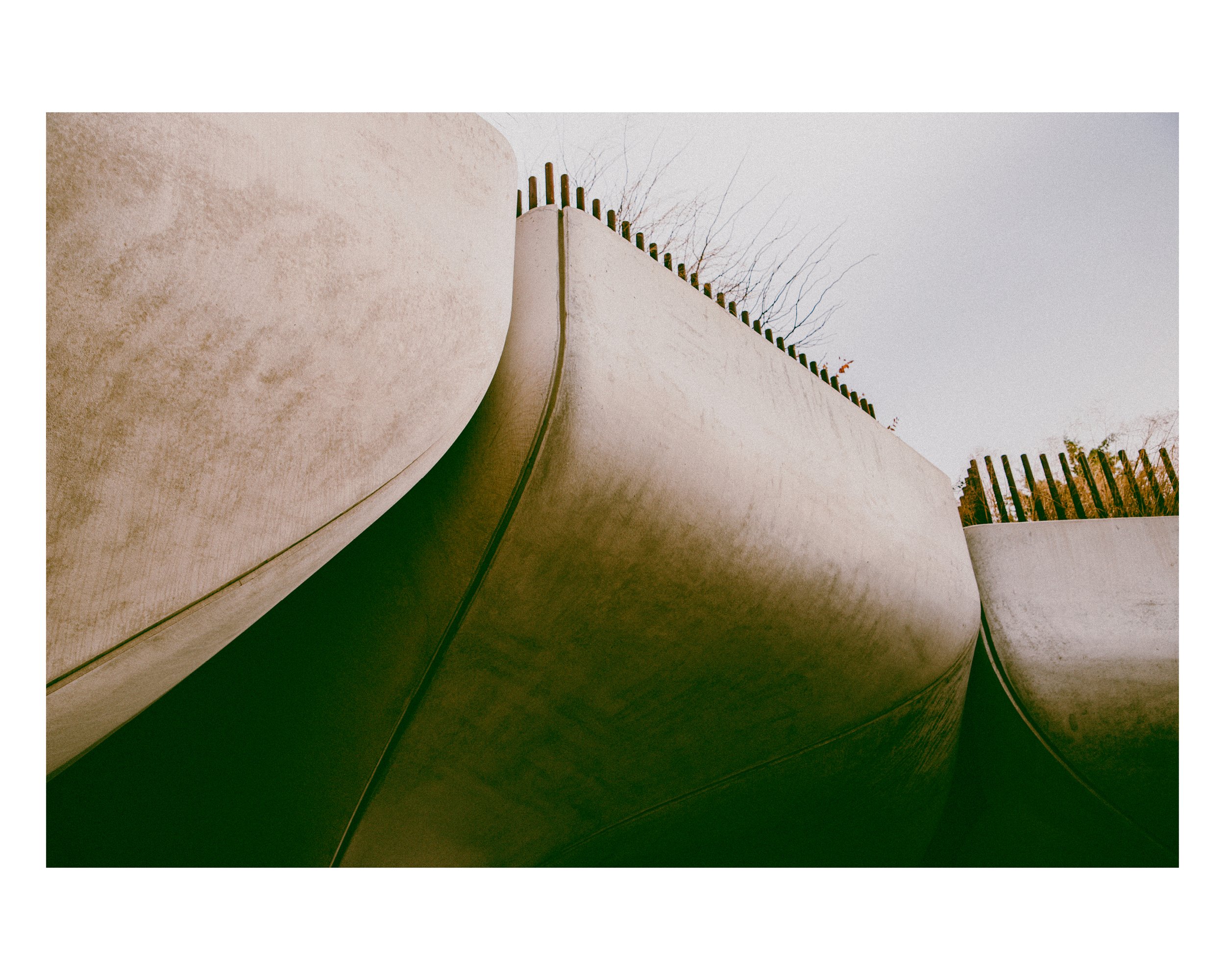 5_8x10 H_2023-50.jpg