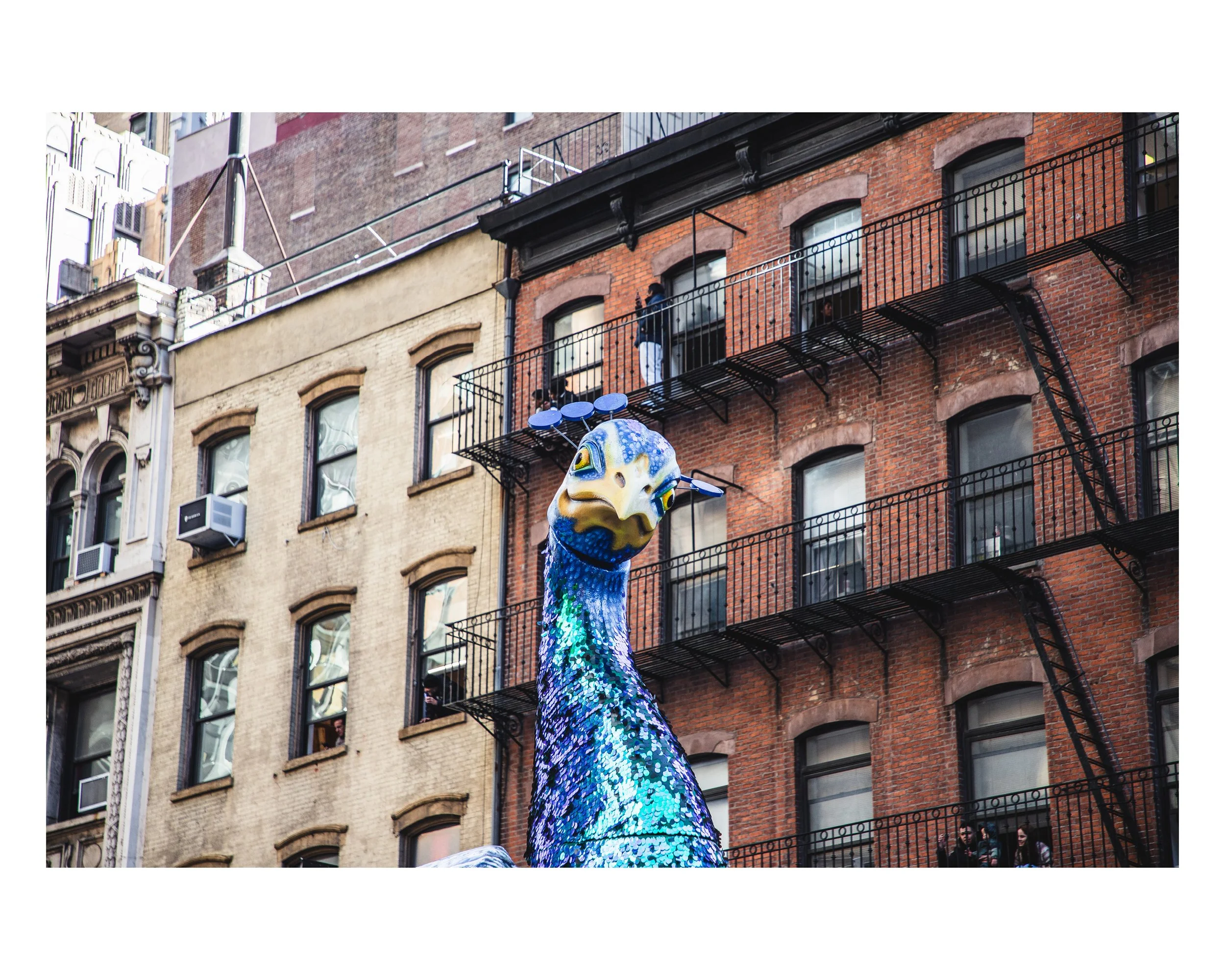 5_8x10 H_2023-64.jpg