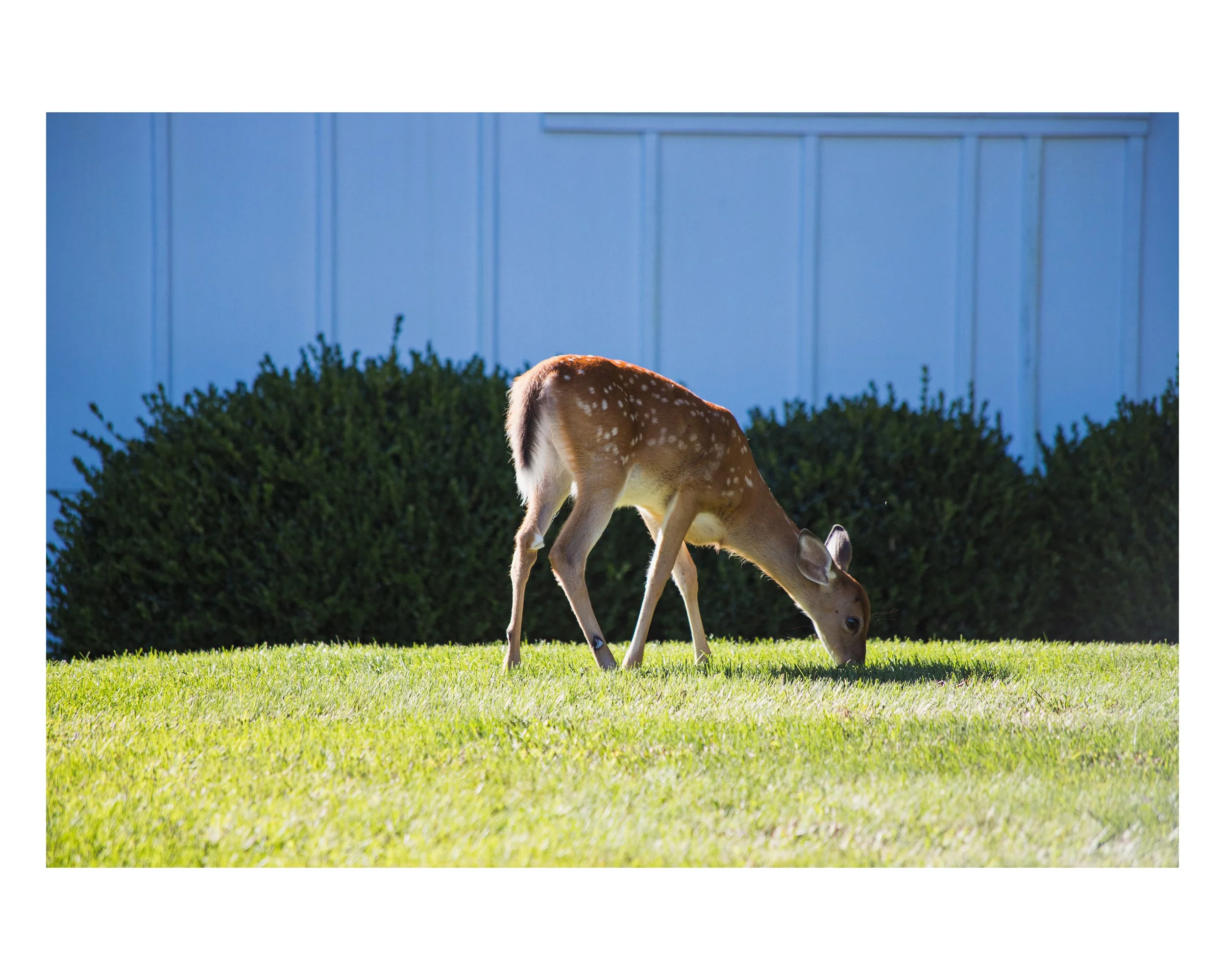 5_8x10 H_2025-465.jpg