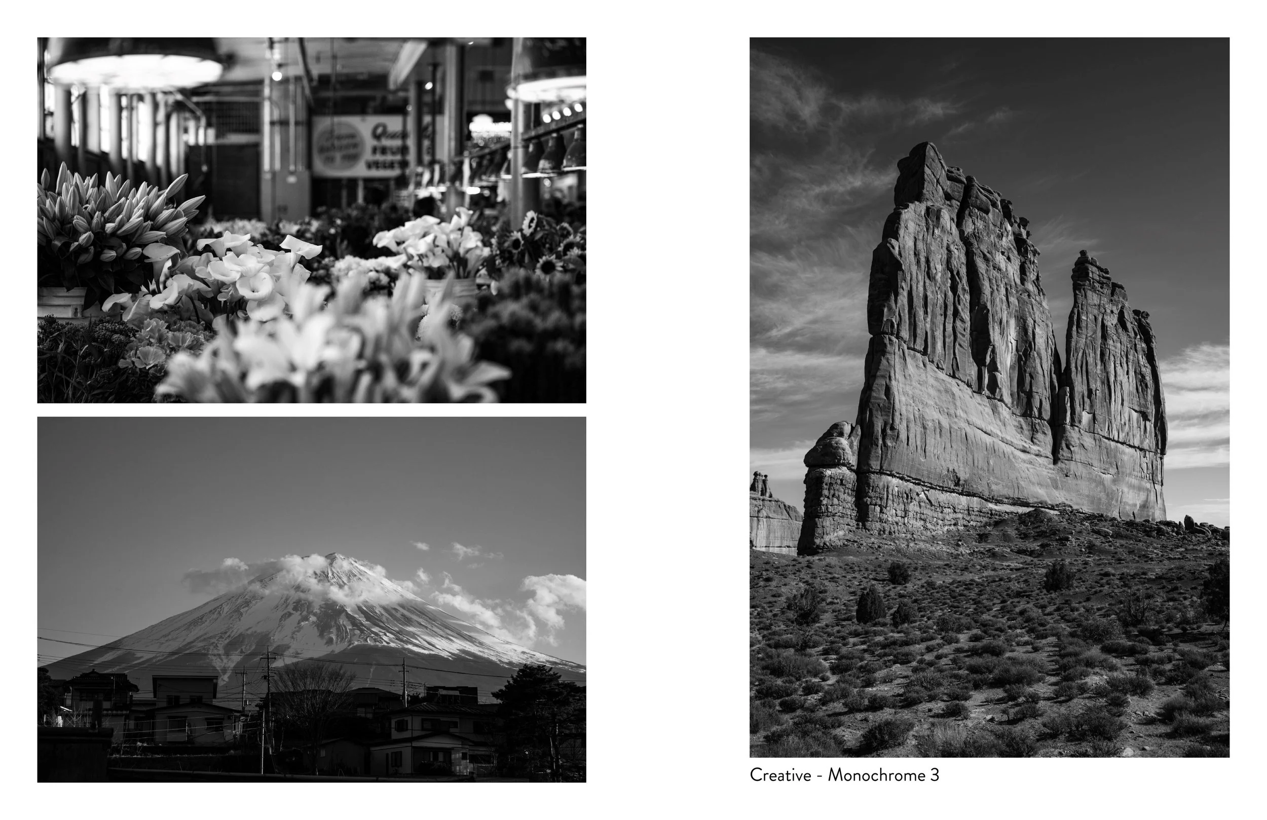 Etsy_Creative - Monochrome6_reduced.jpg