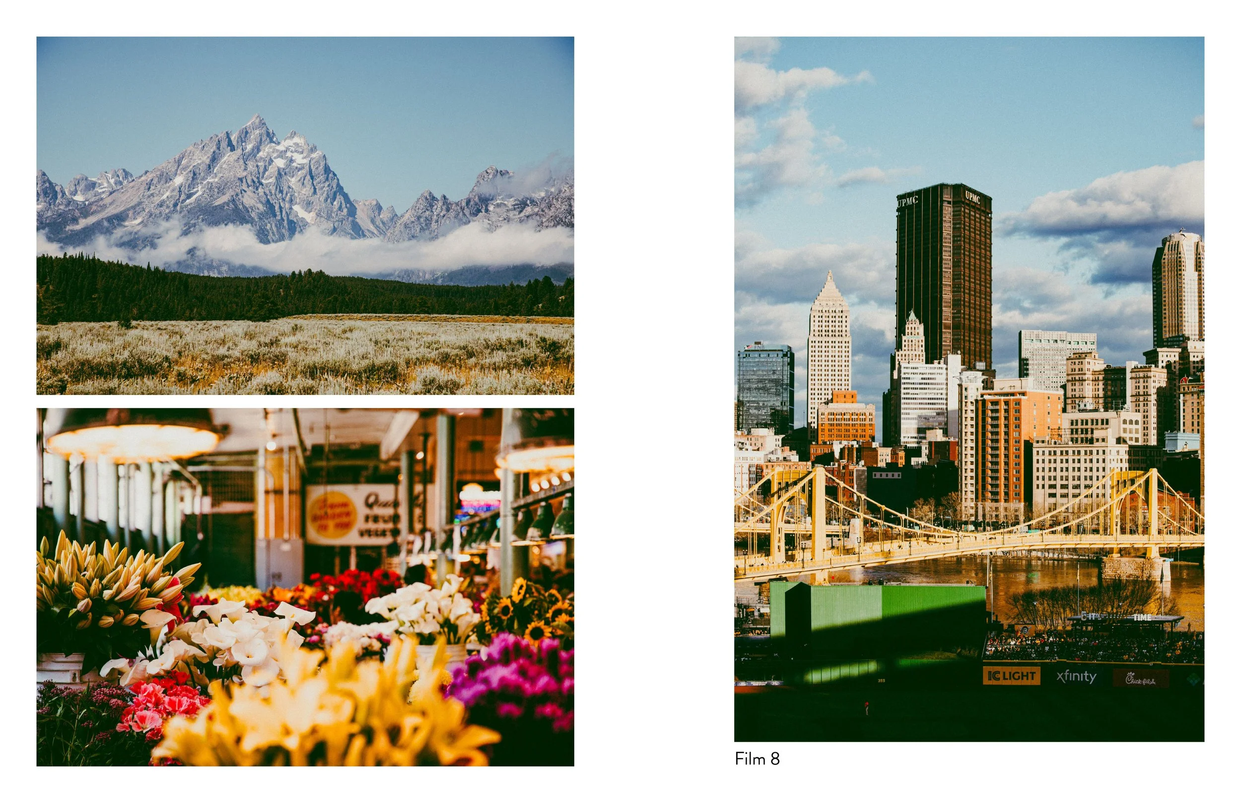 Etsy_Film8_reduced.jpg