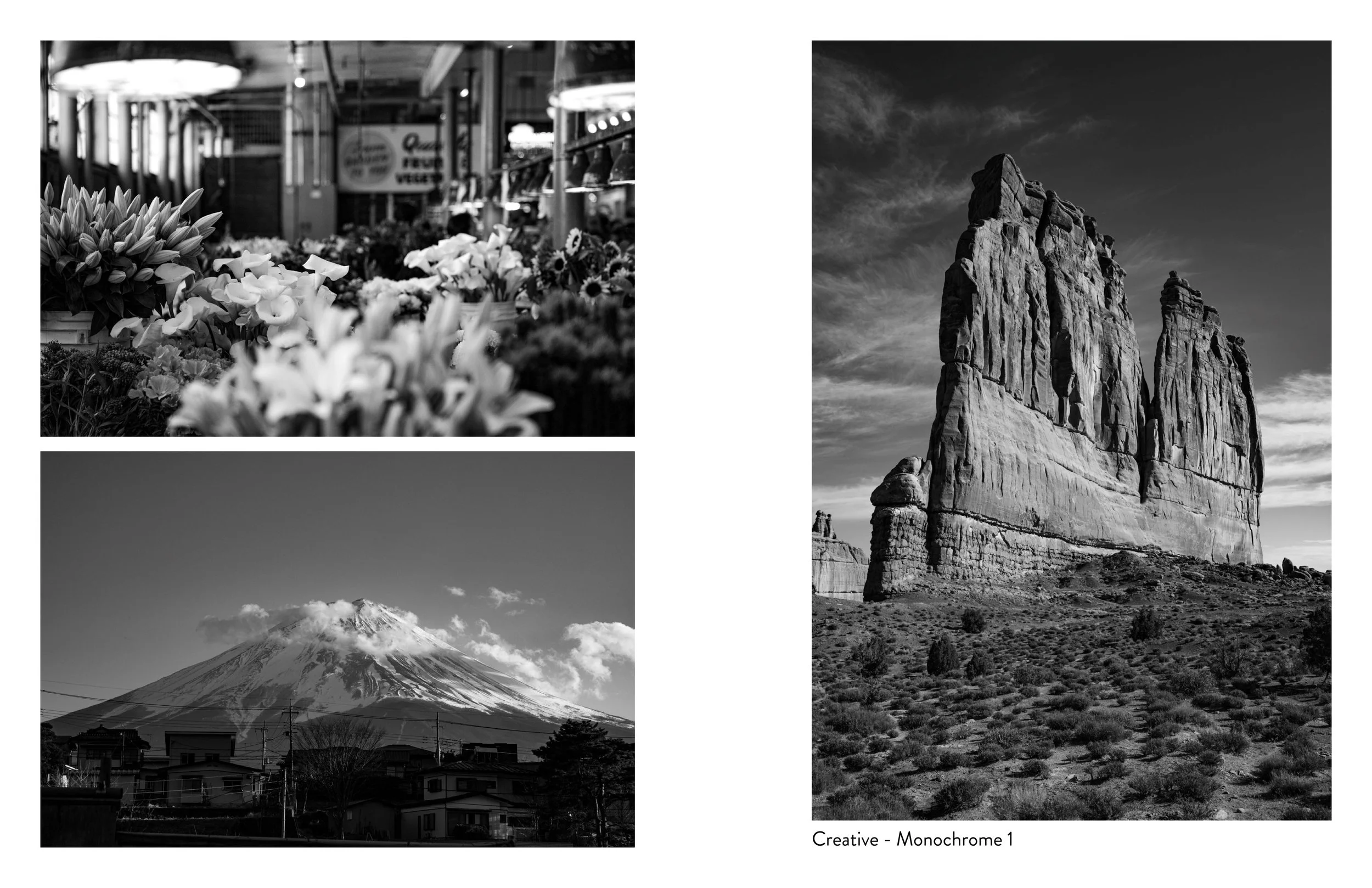 Etsy_Creative - Monochrome2_reduced.jpg