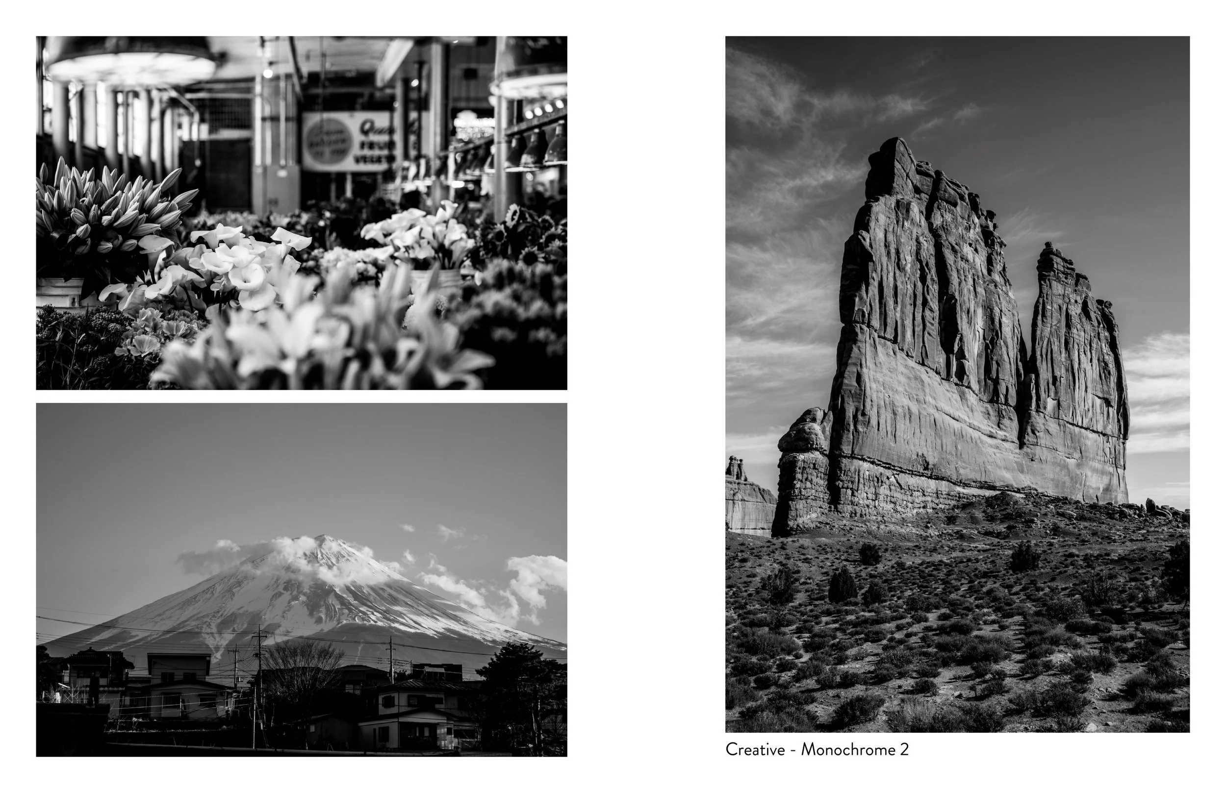 Etsy_Creative - Monochrome4_reduced.jpg