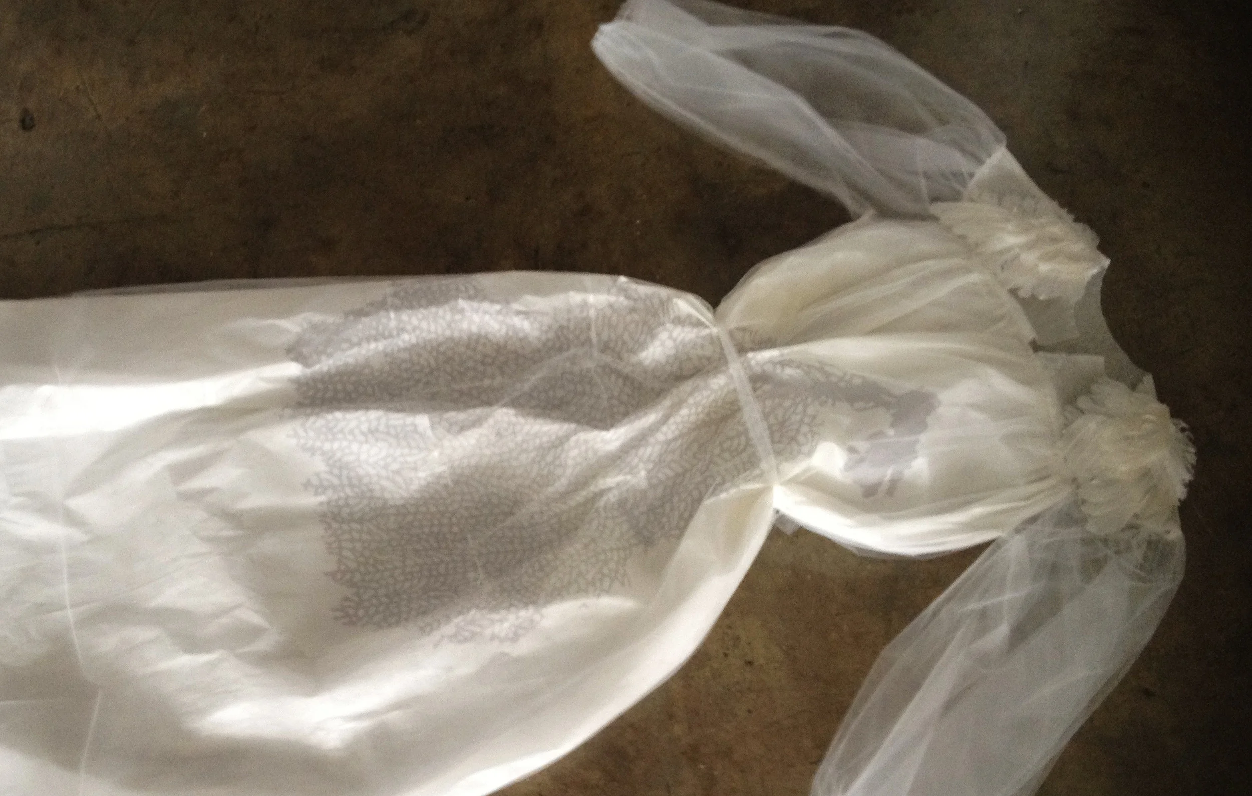   Dress for Magda , 2012, paper, photo-transfer, feathers, tulle, detail shown app. 36” x 26” 