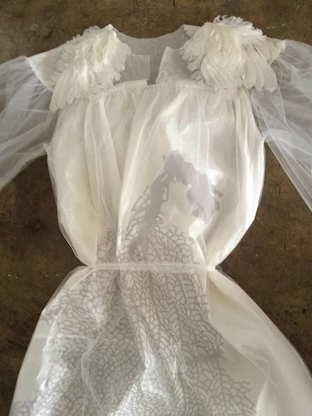   Dress for Magda , 2012, paper, photo-transfer, feathers, tulle, detail shown app. 