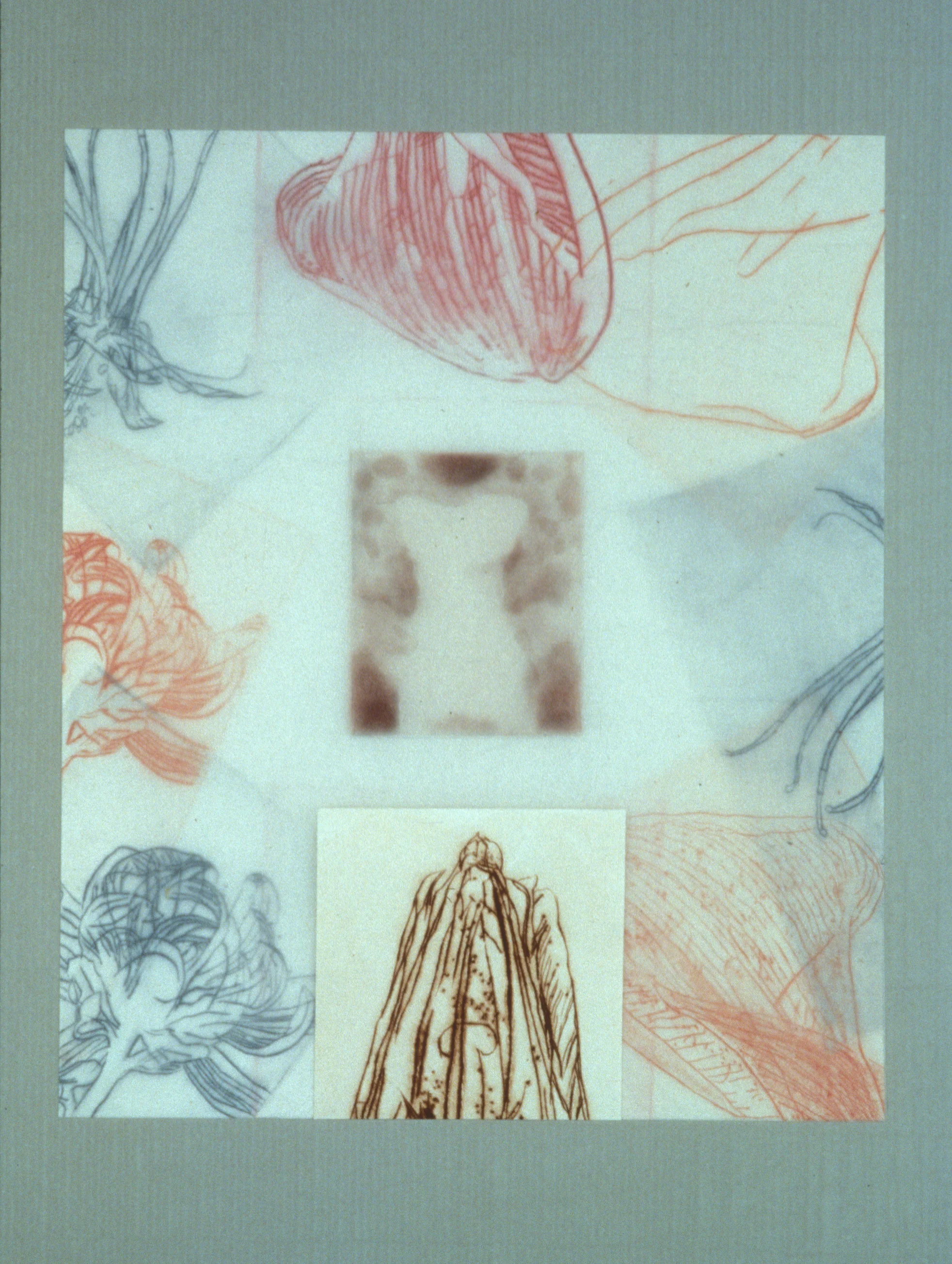 “Figure with Broken Flowers,” 2001, monotype with etching and chine collé, wrapped with aquatint on silk tissue on Roma paper, 28” x 20.”