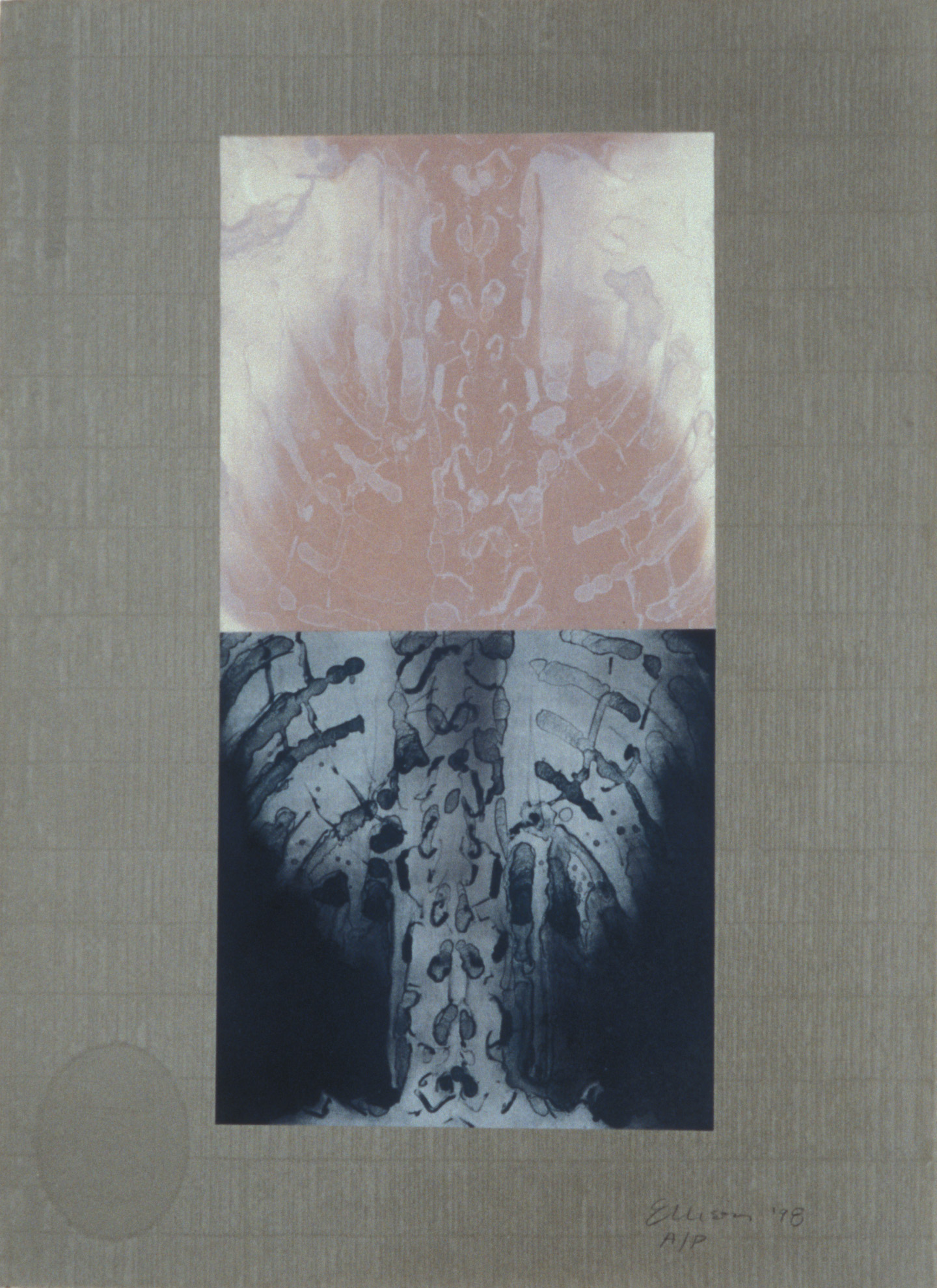  “Double Spine Pink,” 2001, monotype with lithograph chine collé on Roma paper, 28” x 20.”      