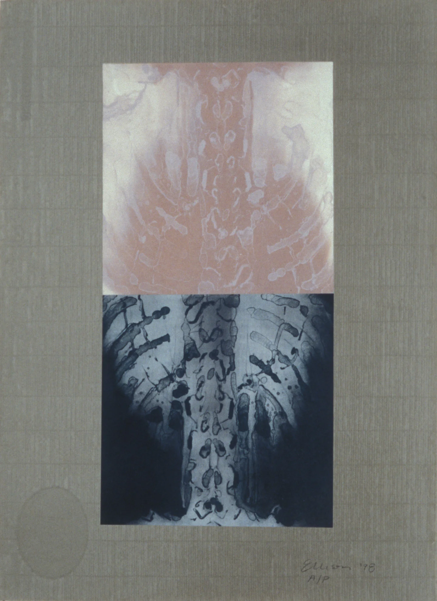 “Double Spine Pink,” 2001, monotype with lithograph chine collé on Roma paper, 28” x 20.”