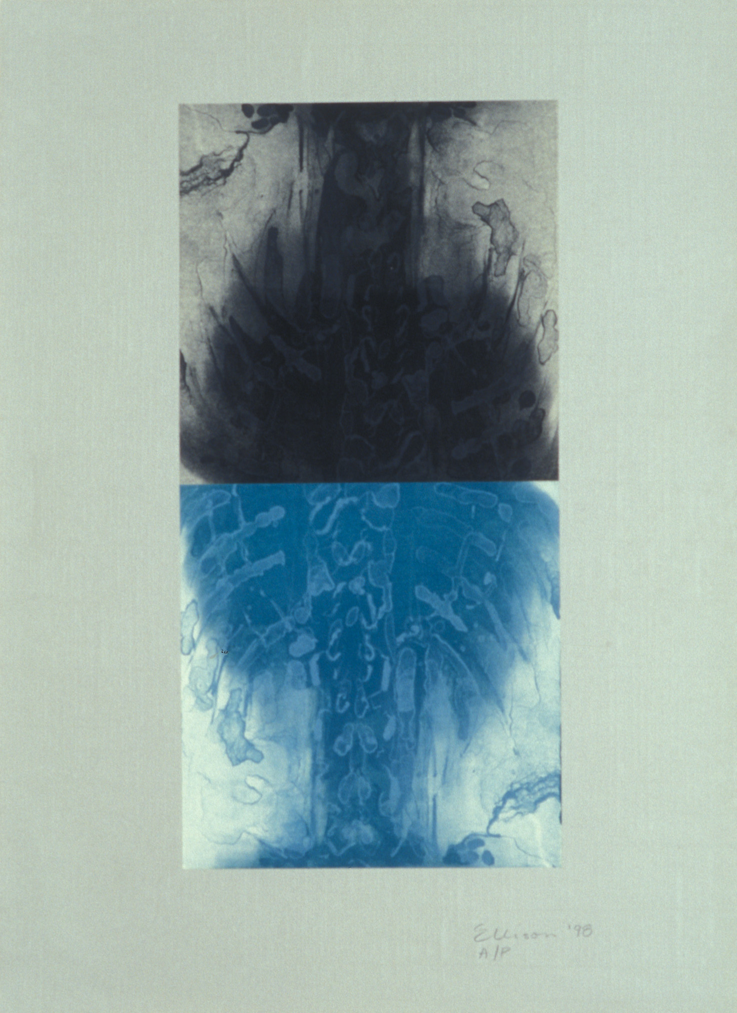  “Double Spine Turquoise,” 2001, monotype with lithograph chine collé on Roma paper, 28” x 20.” 