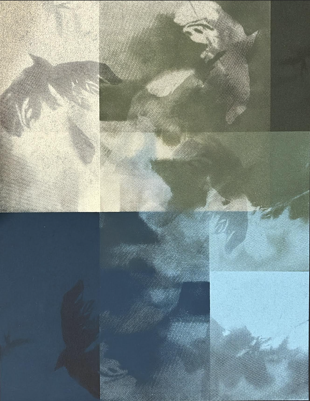 Ellison, %22Windows in the Sky, 2024, Screenprint, 30%22 x 22.png