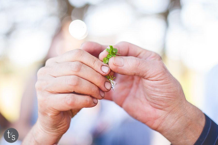 FB-TerraSura-Herbfest-Web-7237.jpg