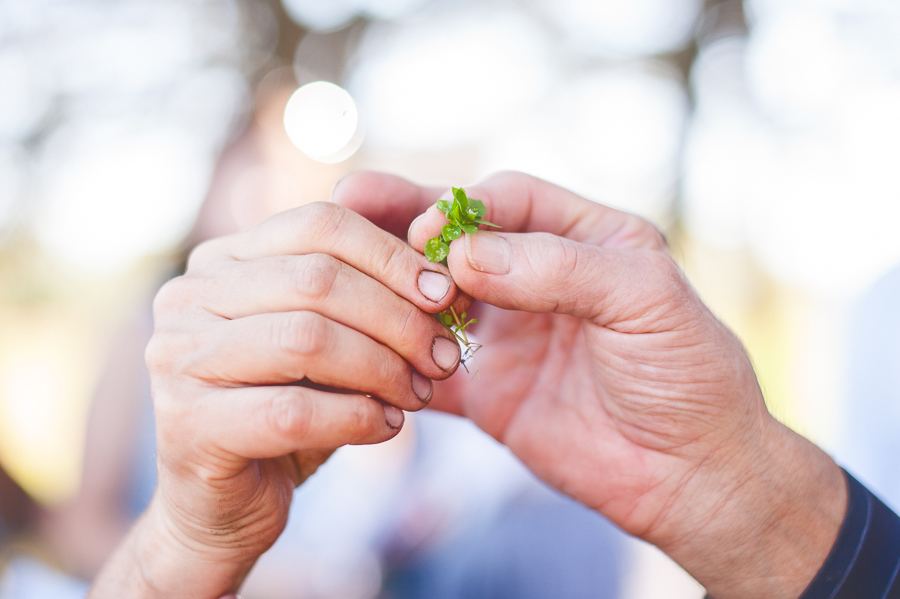 TerraSura-Herbfest-Web-7237.jpg