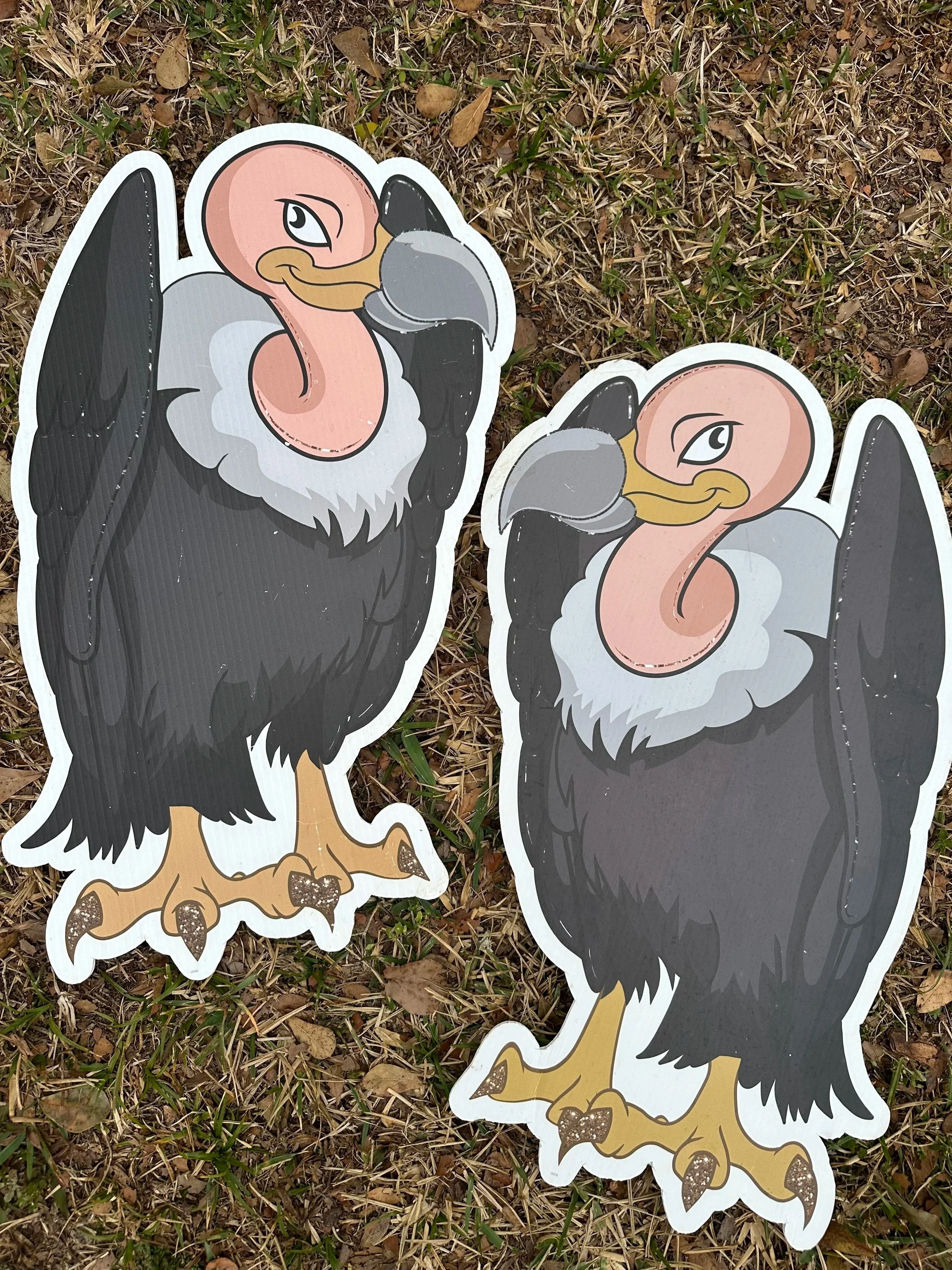 Buzzards (Add-On Only)
